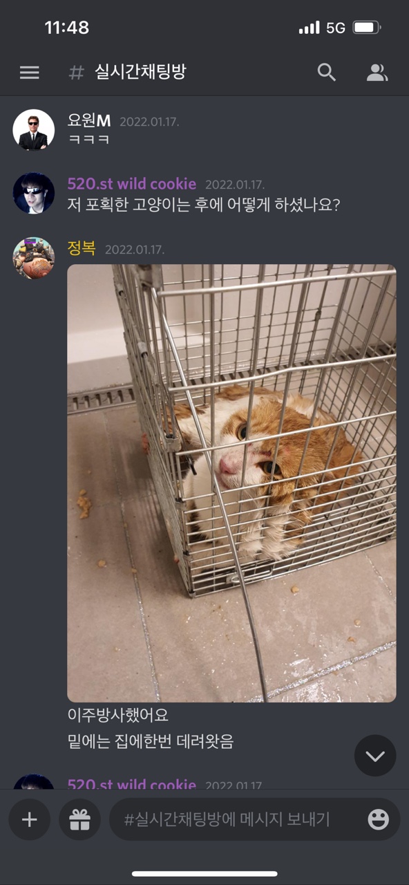 내용에 썼어요