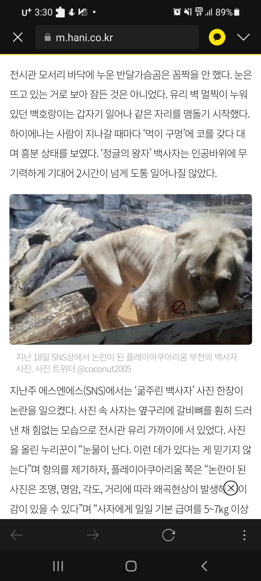 부천웅진플레이도시 동물들을 조사해주세요
