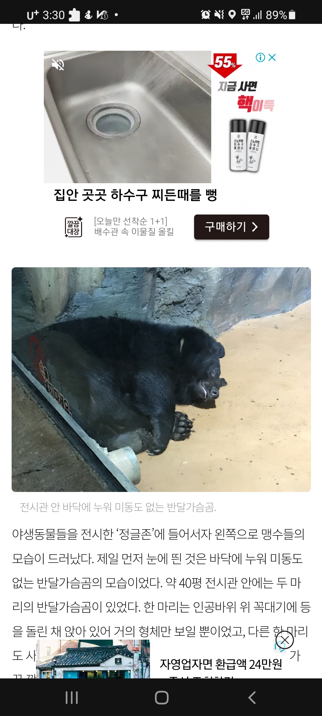 부천웅진플레이도시 동물들을 조사해주세요