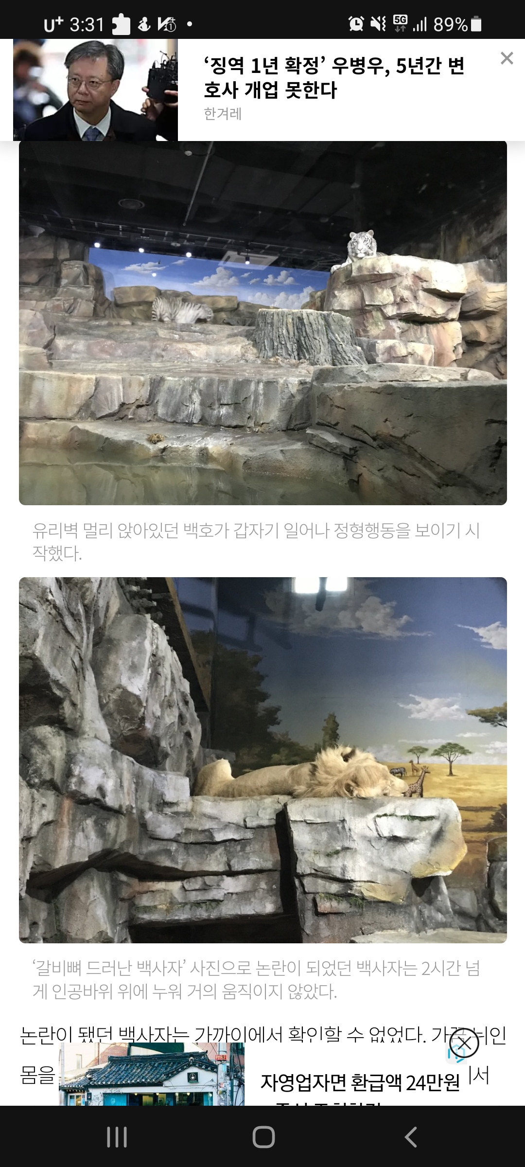 부천웅진플레이도시 동물들을 조사해주세요
