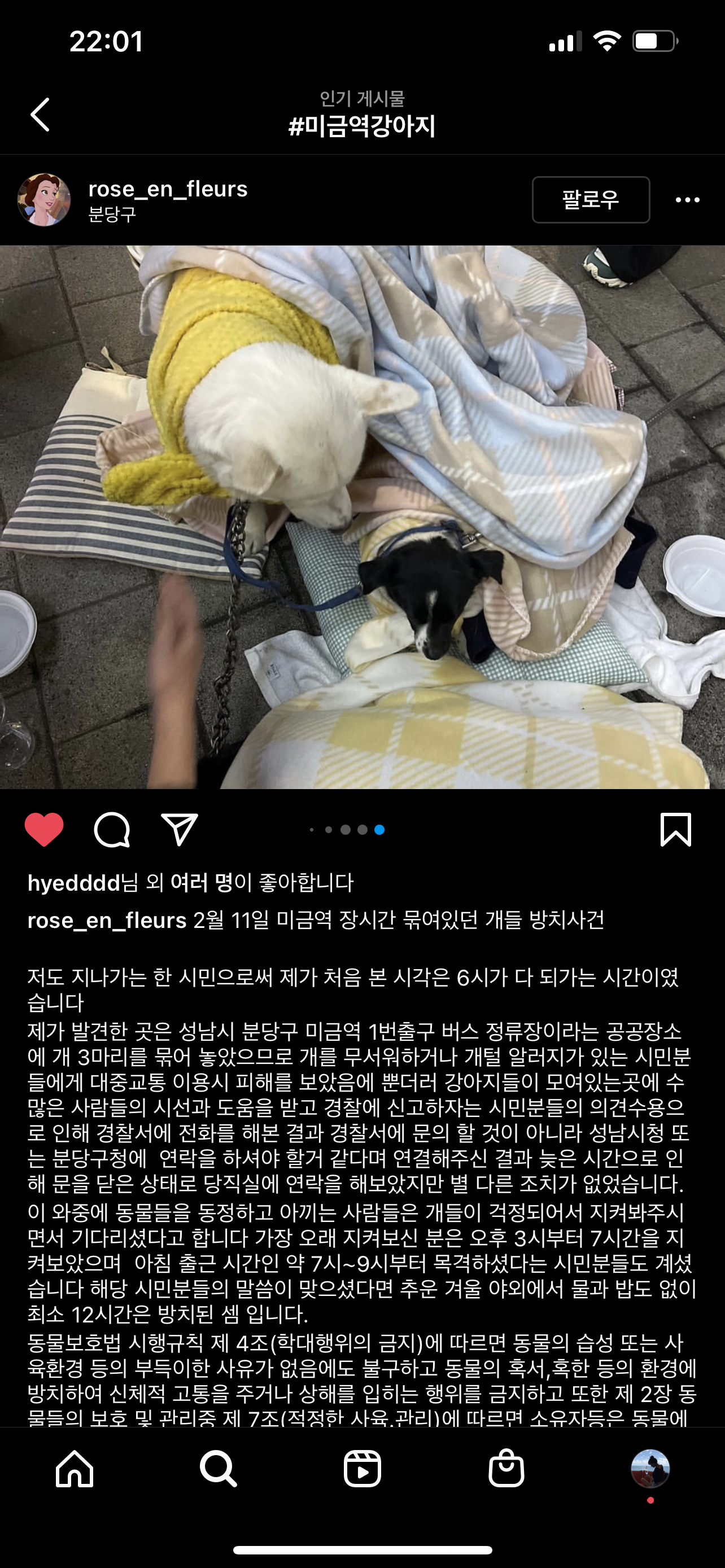 강아지 방치