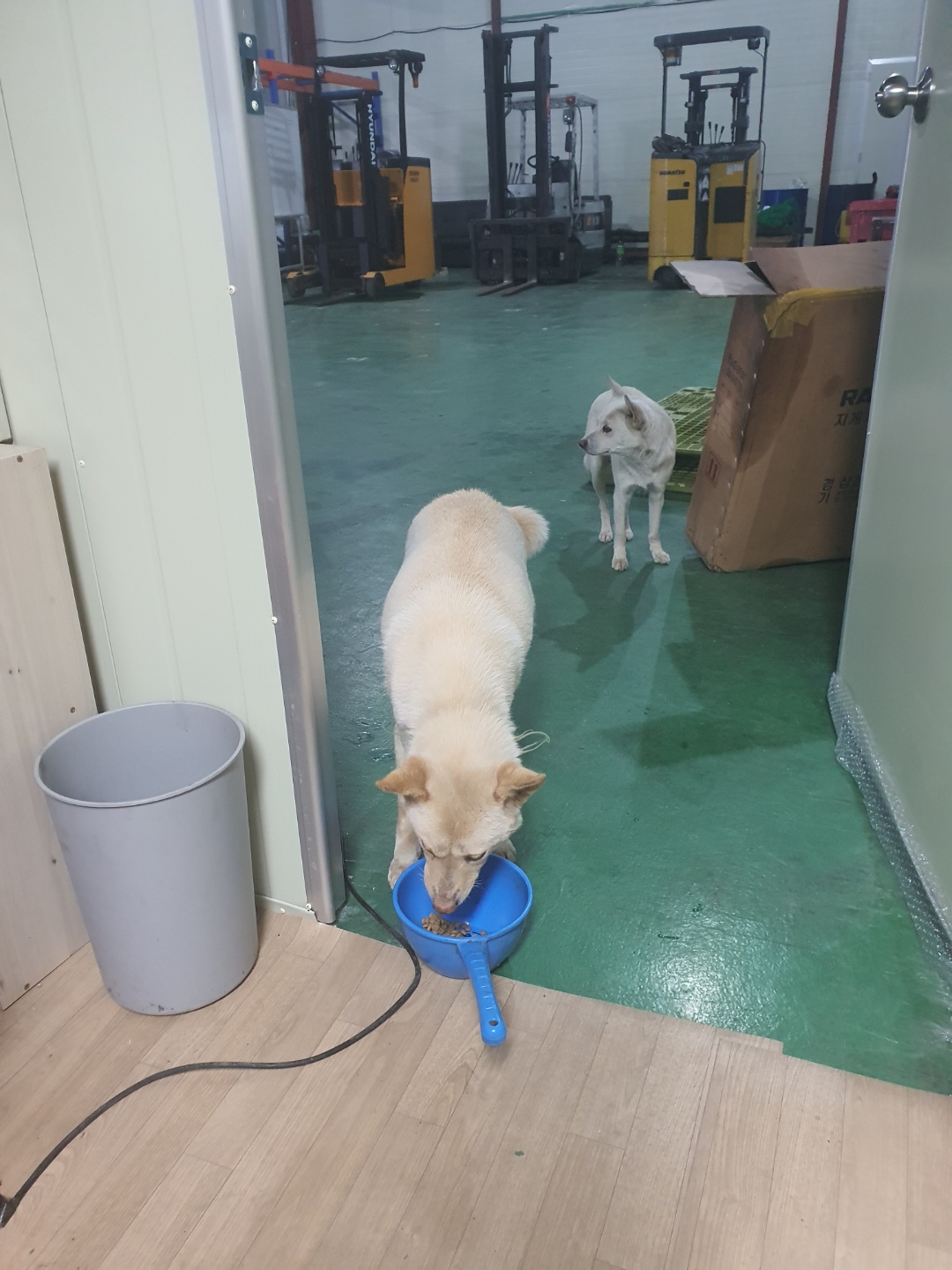 밥도않주고 방치