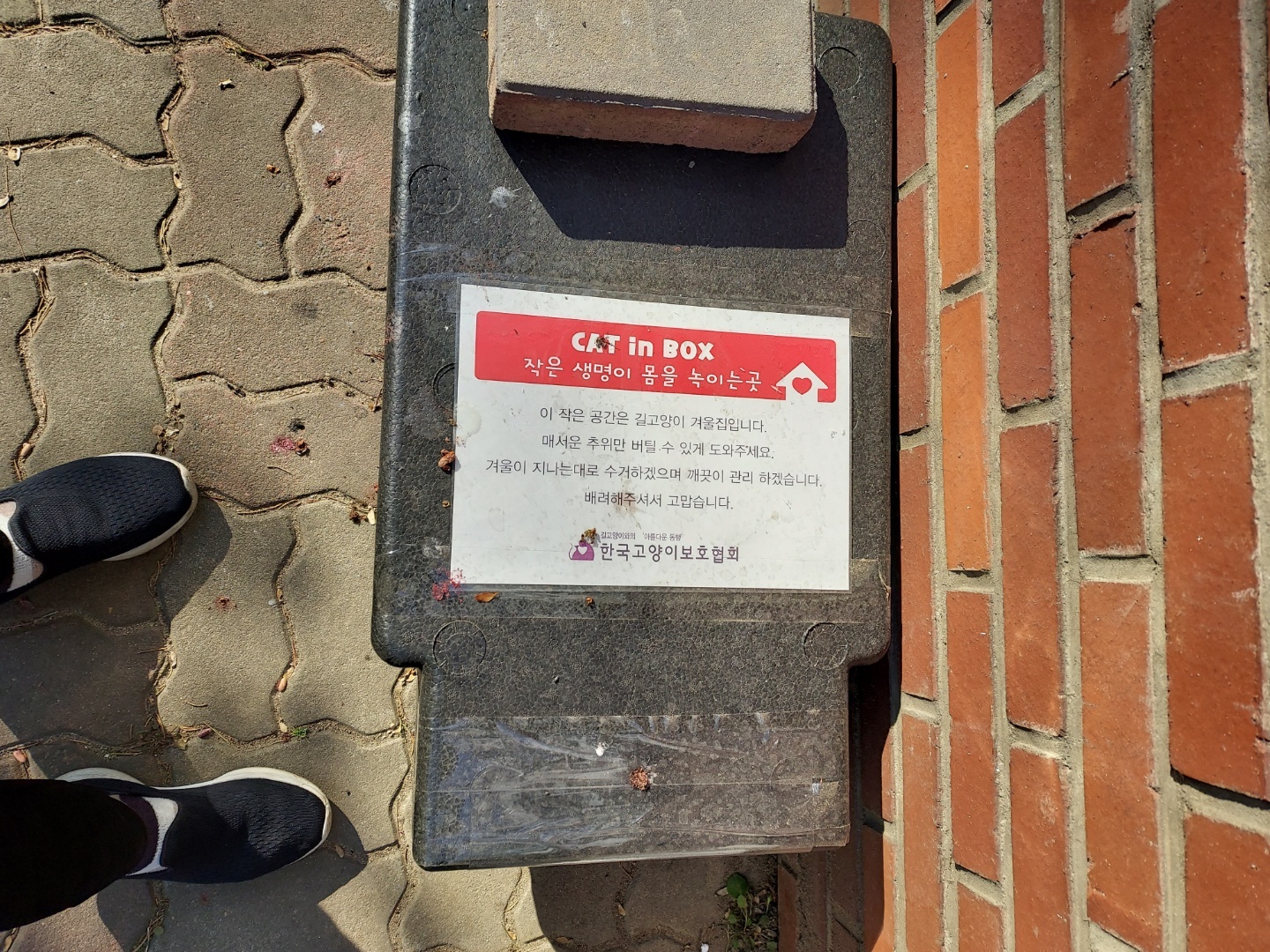 평화롭게 공존중이던 고양이들을 퇴치한다는 관리사무소의 행태 제보