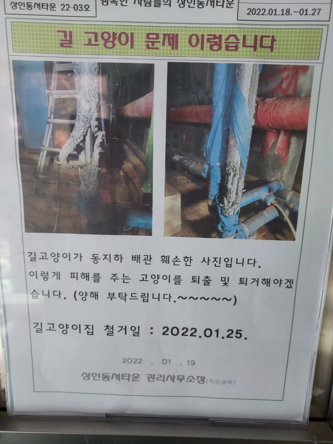 평화롭게 공존중이던 고양이들을 퇴치한다는 관리사무소의 행태 제보