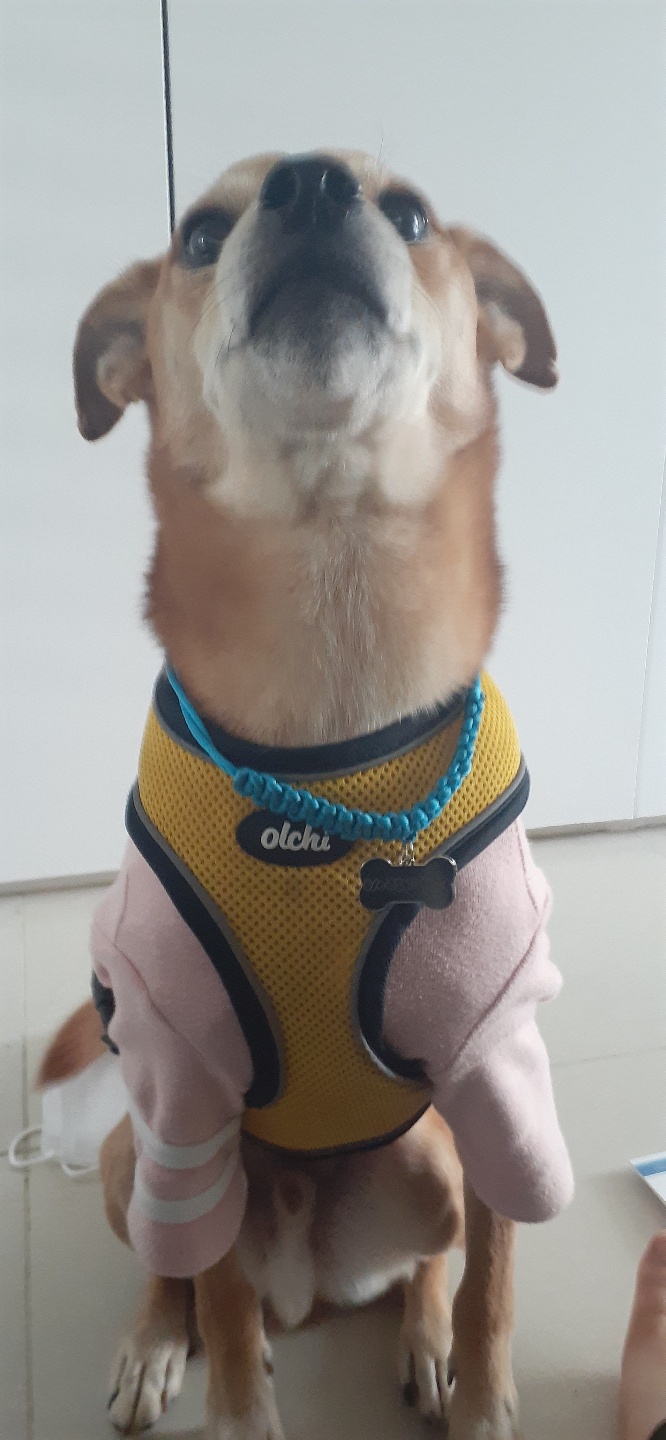 다온이 소식입니다^^