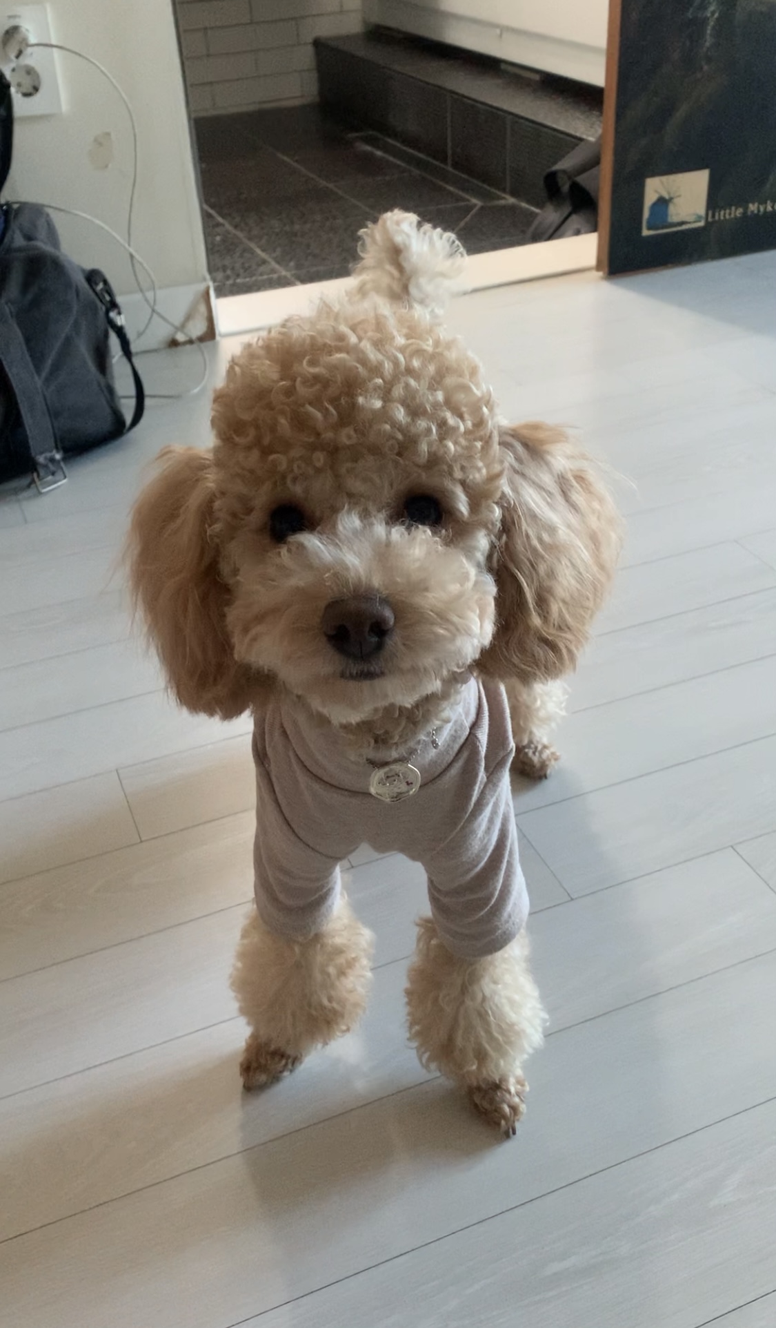 초이는 나날이 이뻐지는 중~!!(곤지암 해삼)