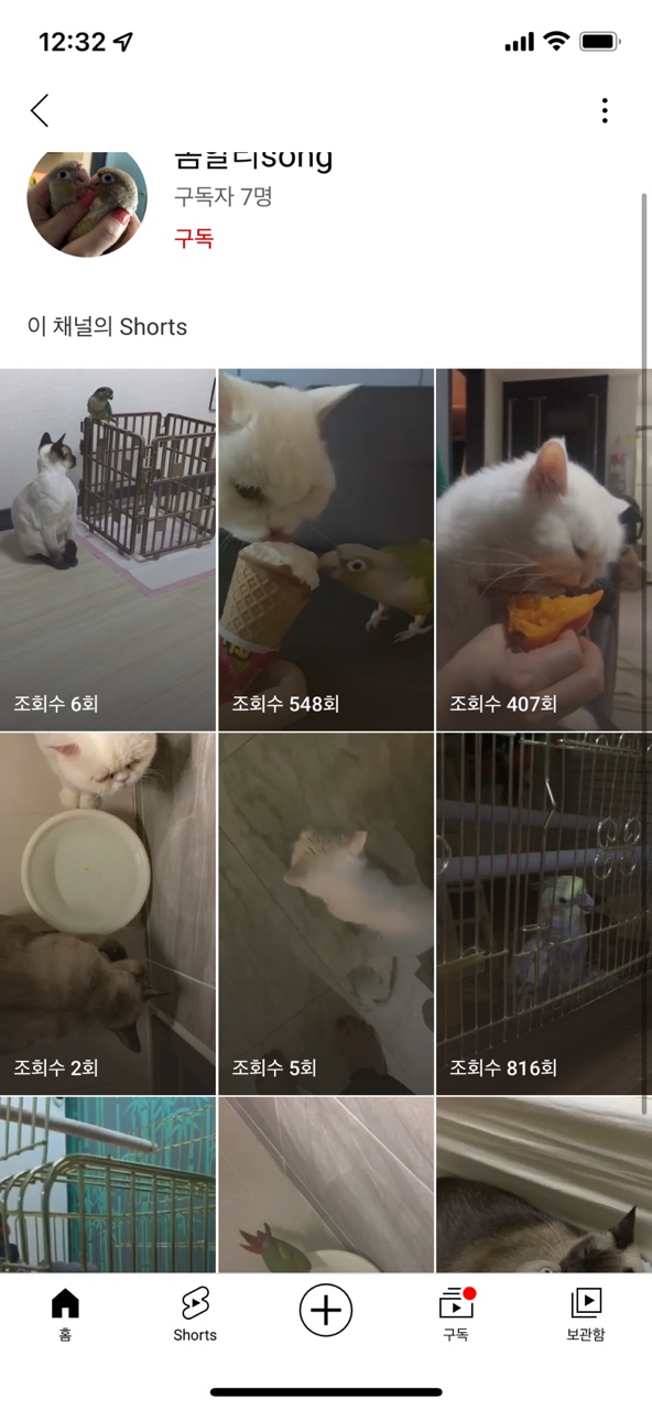 유튜브 목적으로 학대 영상을 올립니다