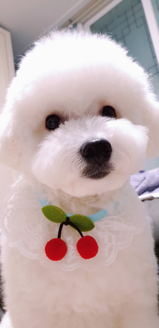 겨울이 (하이) 1년 후기입니다