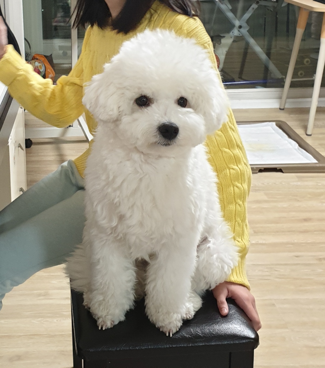 겨울이 (하이) 1년 후기입니다