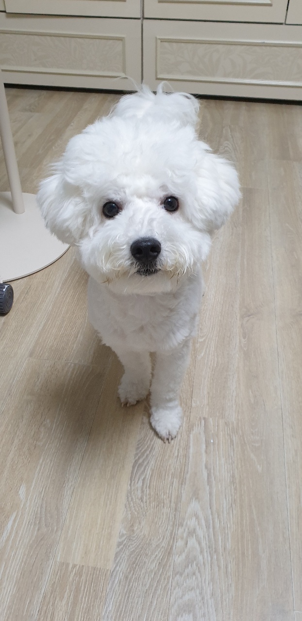 겨울이 (하이) 1년 후기입니다