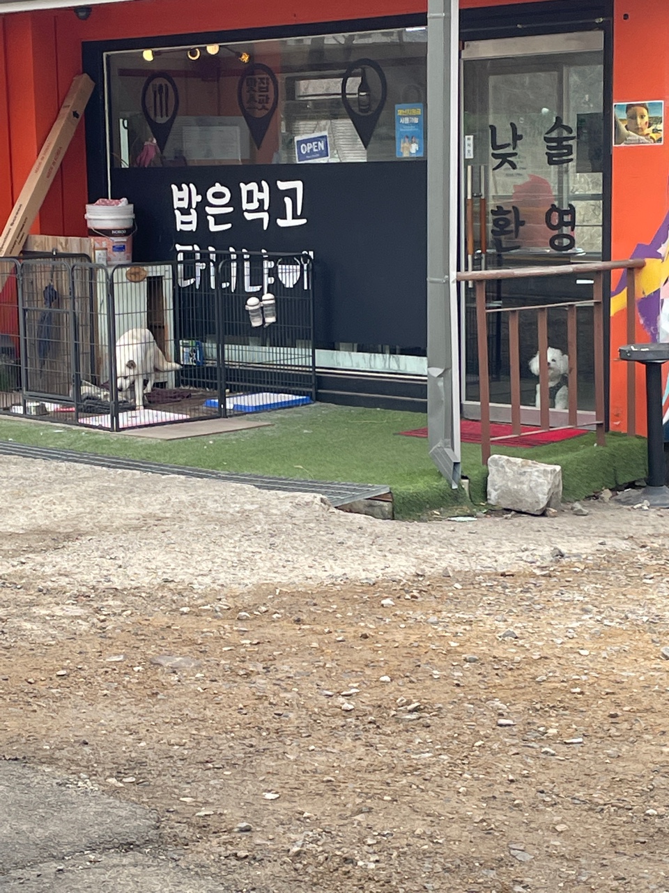 학교 앞 식당 강아지 방치한 상태에요