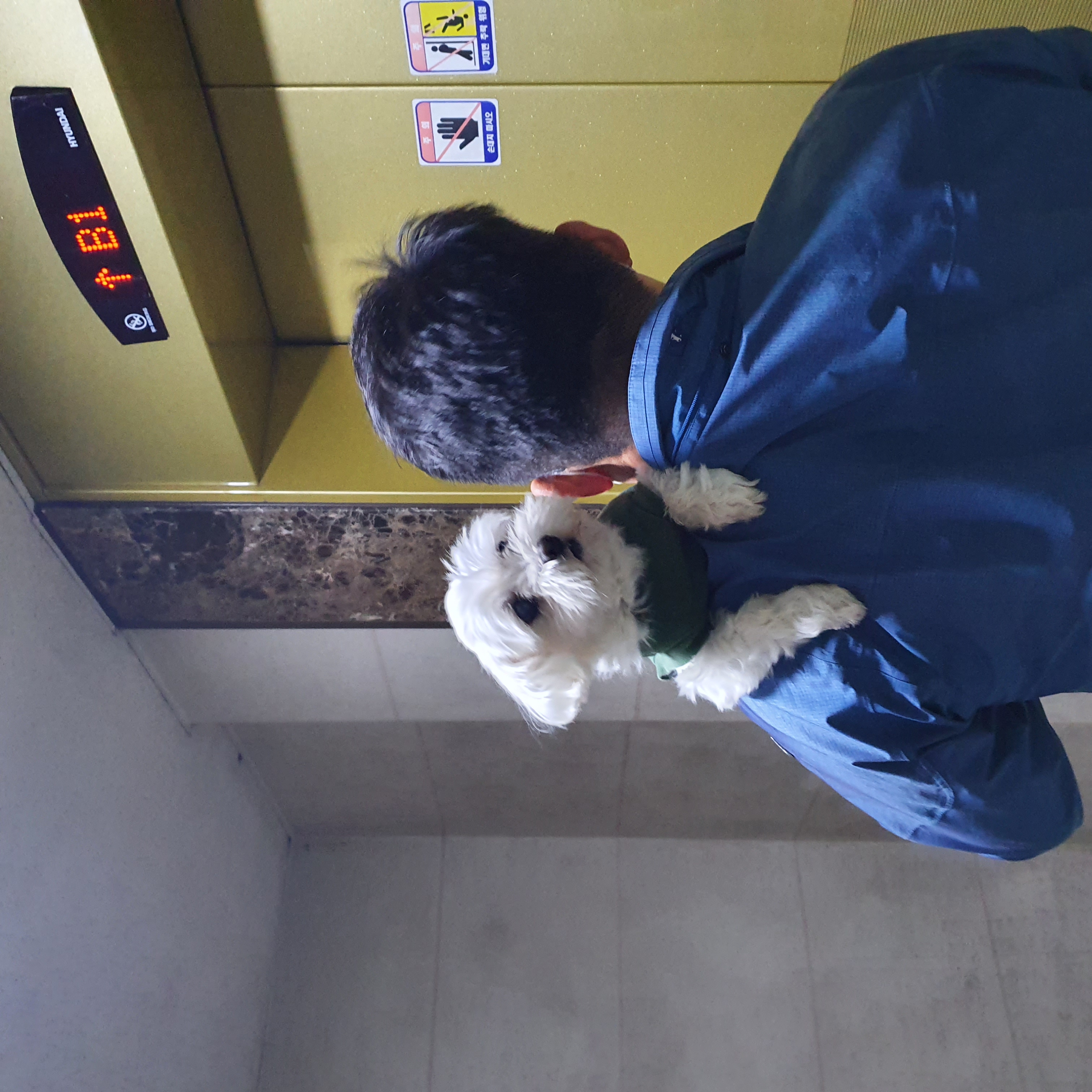 별이 입양 9년차