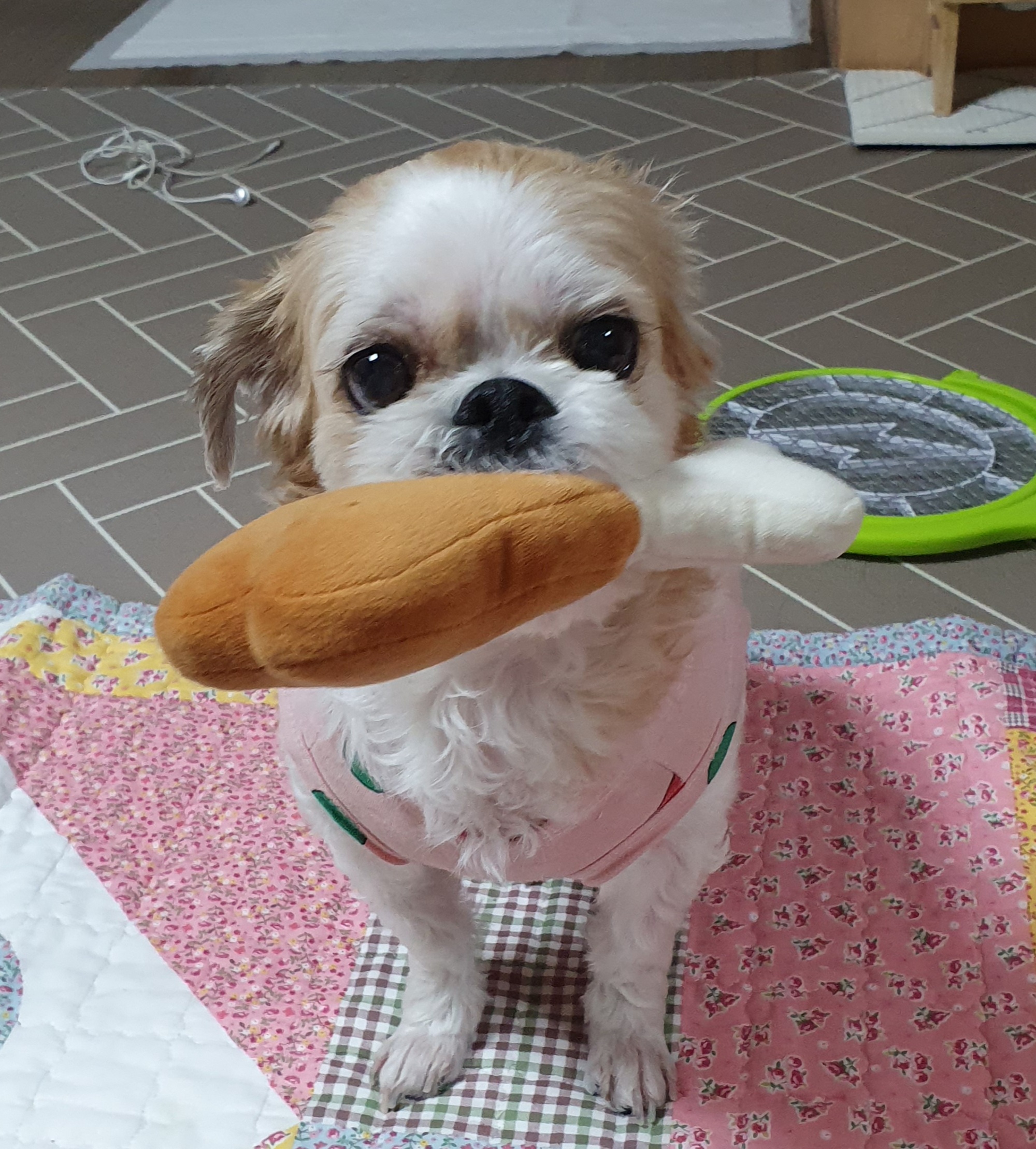 조아~