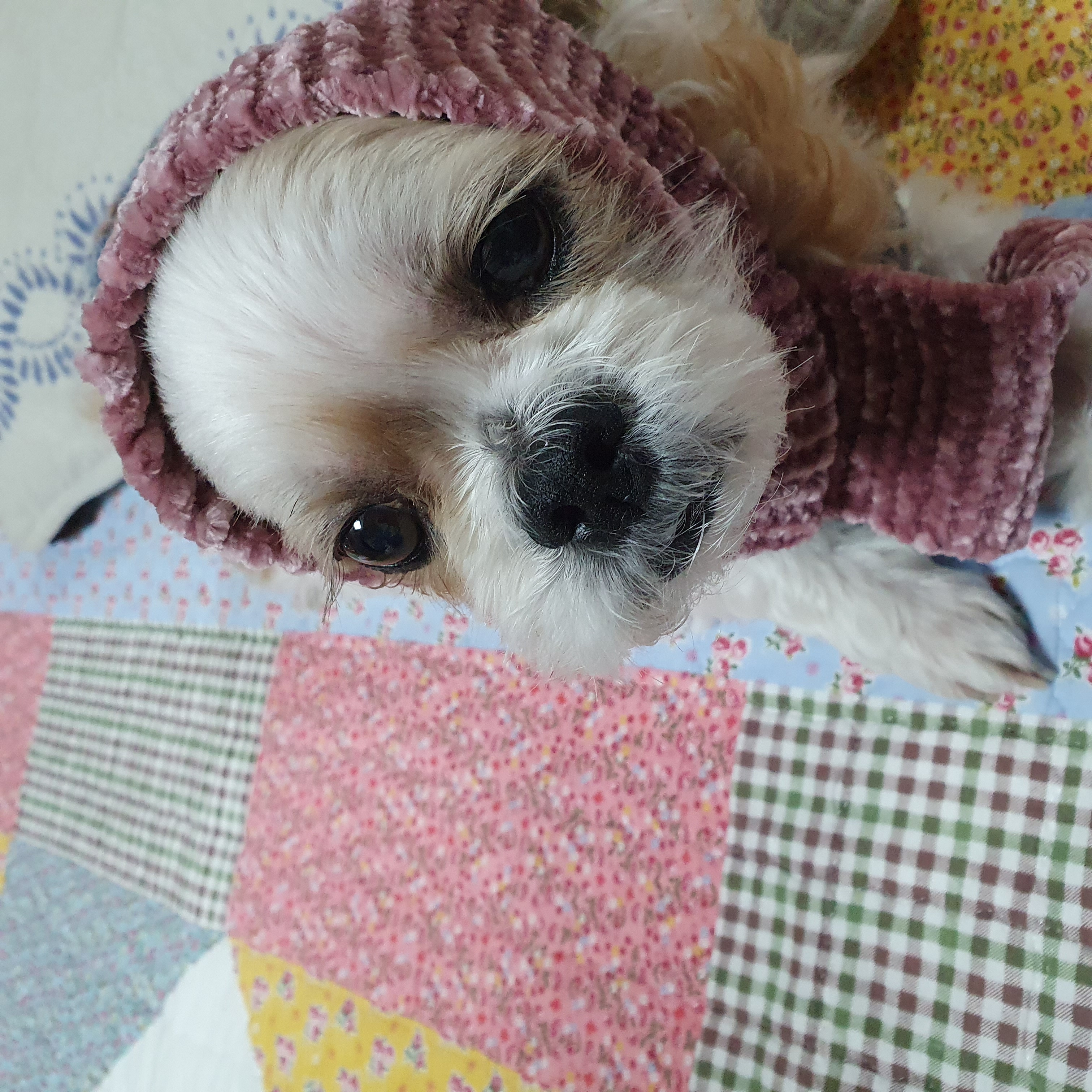조아~