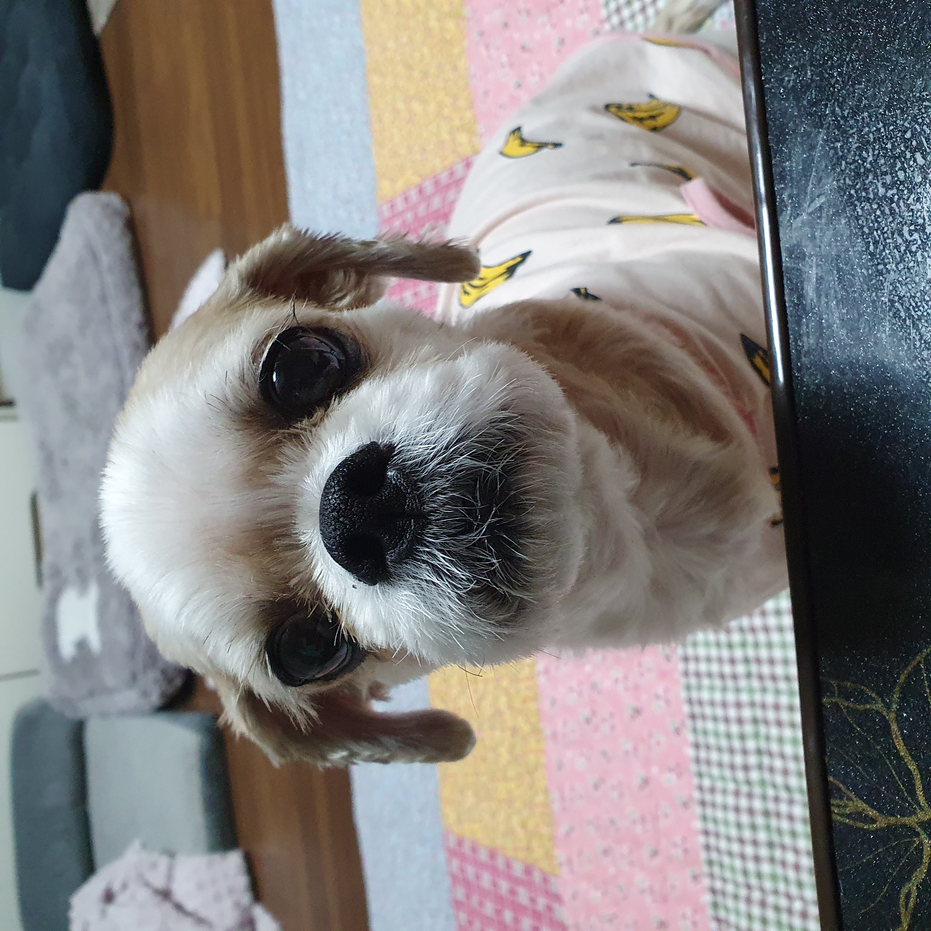 조아~