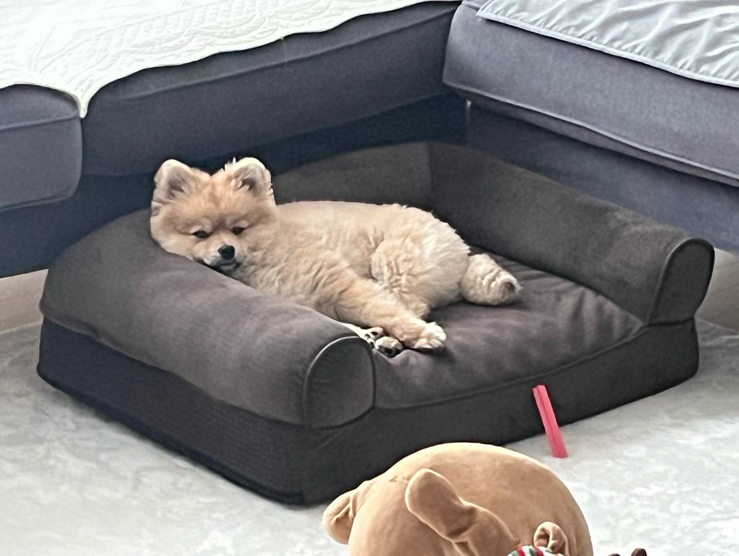 하트(그일이)