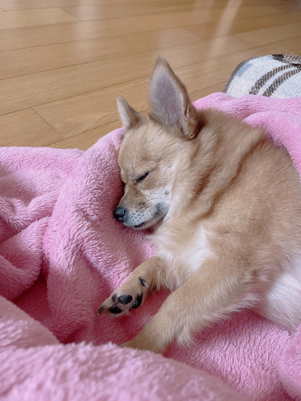 땅콩이^^