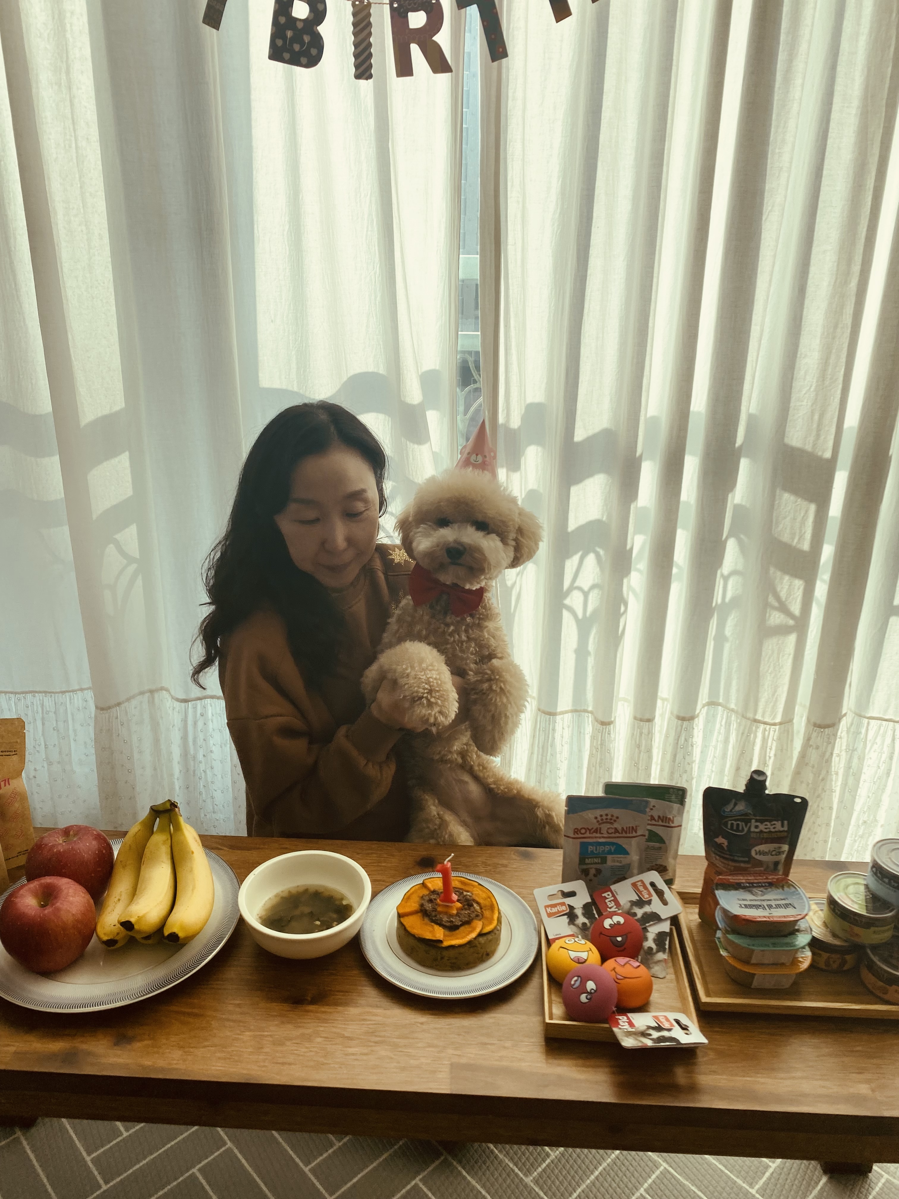 도담이(곤지암 푸삼) 입양 1년차 후기