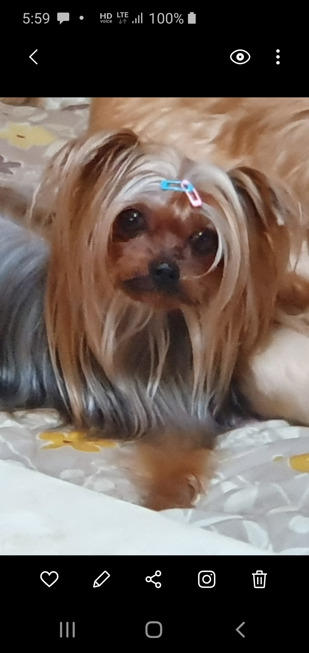 세찬이는 엄마가슴에...