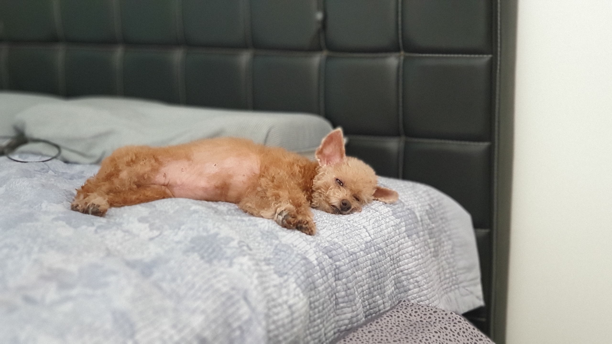 영천1번 모들이 2년 후기
