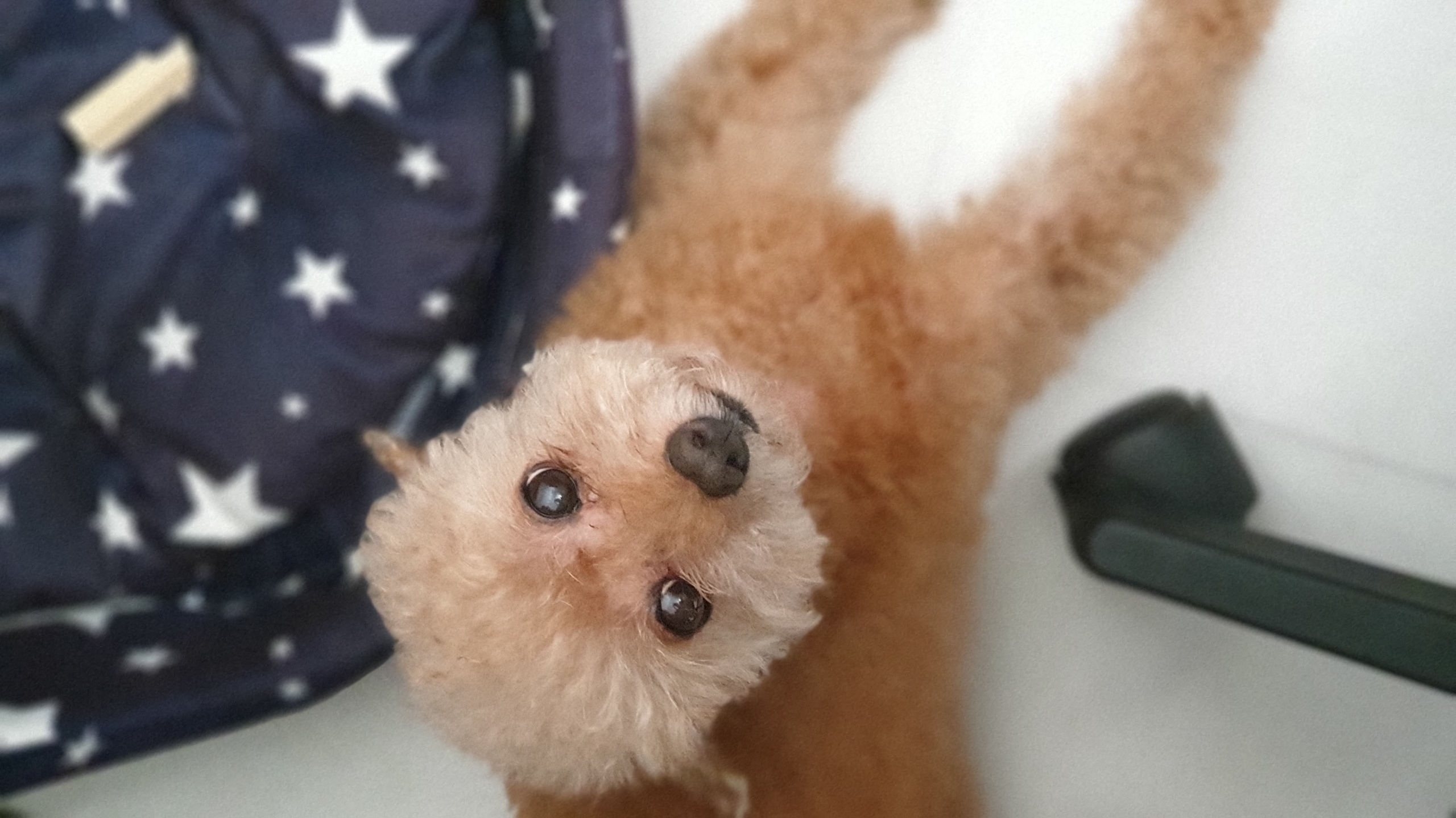 영천1번 모들이 2년 후기