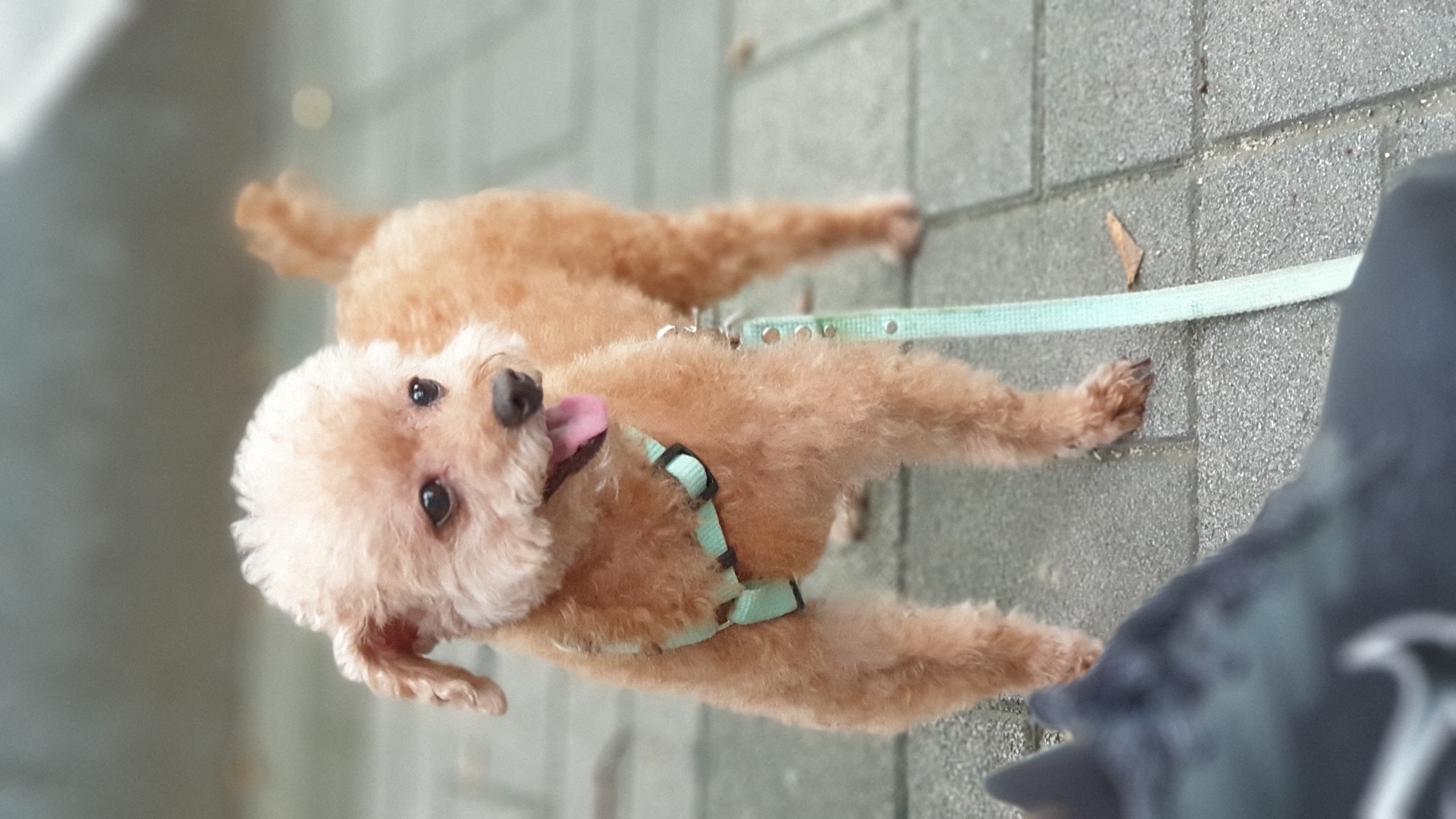 영천1번 모들이 2년 후기