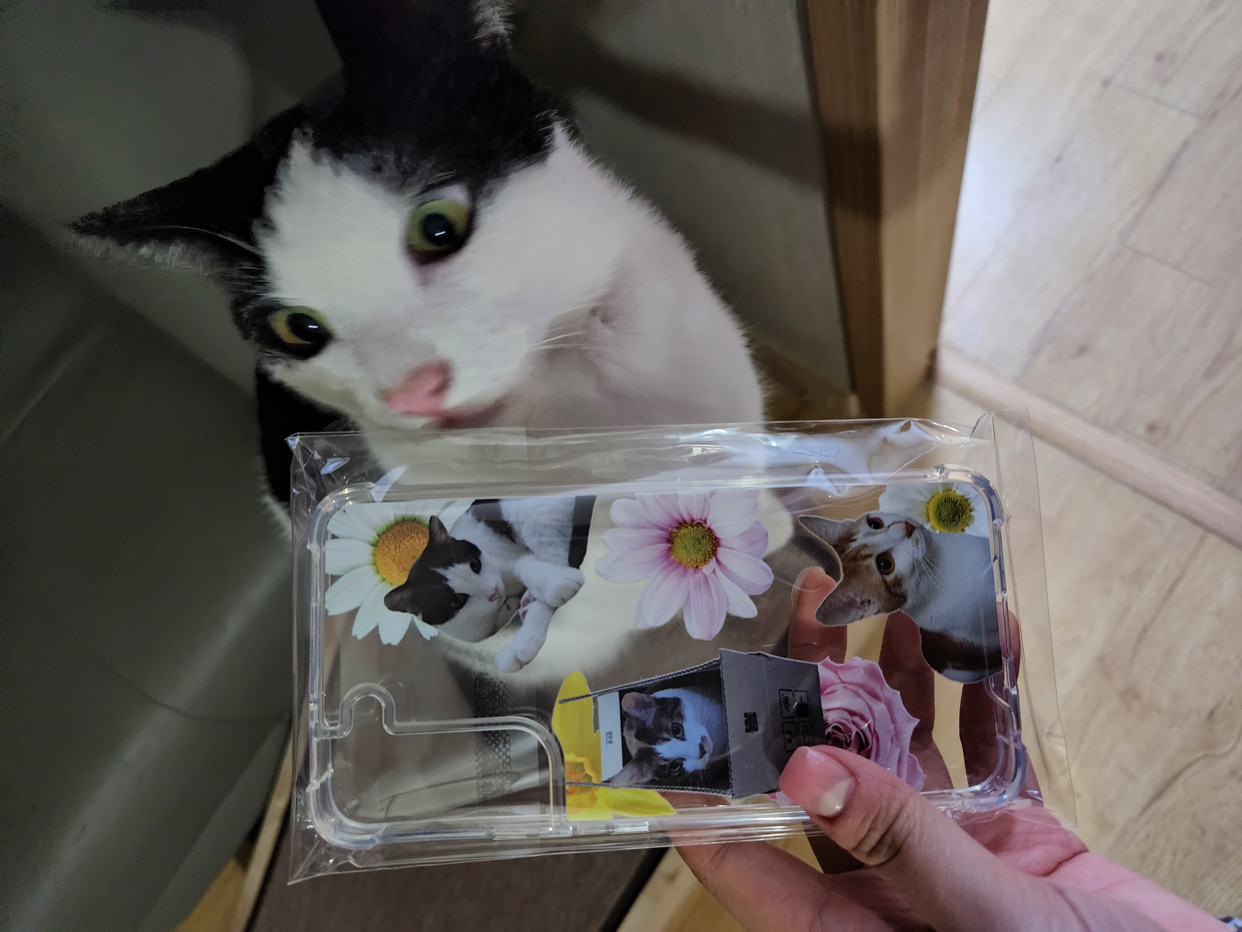 새싹이네집2월이네요:)