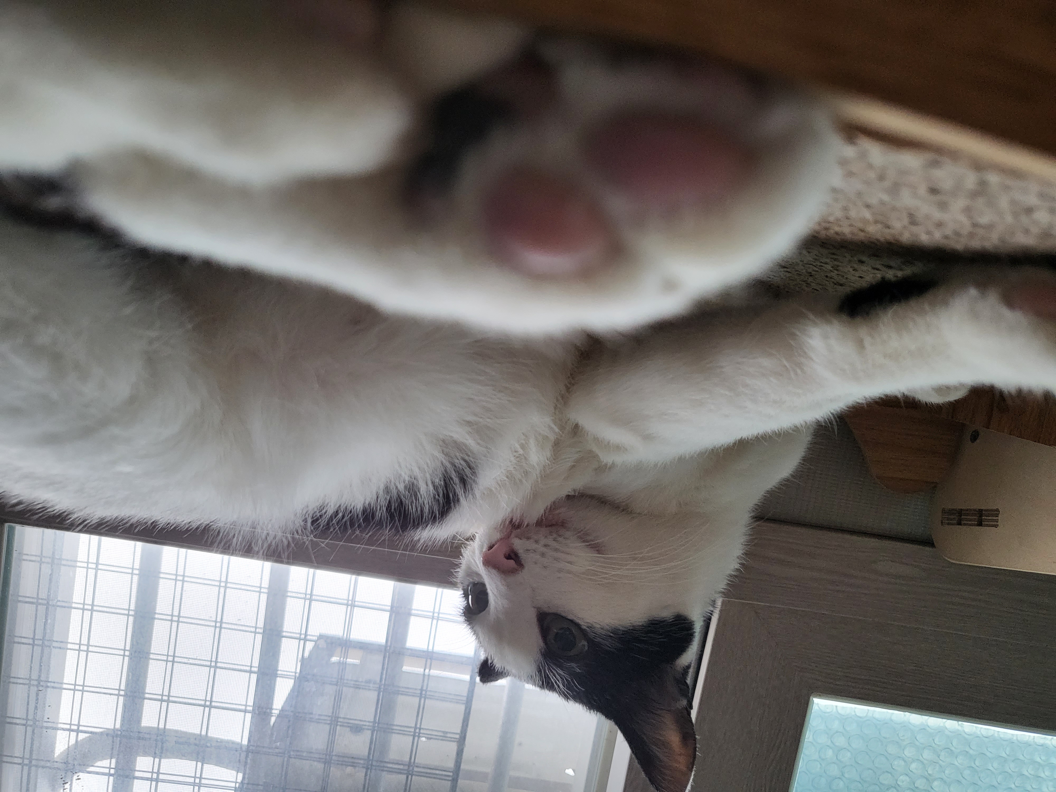 새싹이네집2월이네요:)