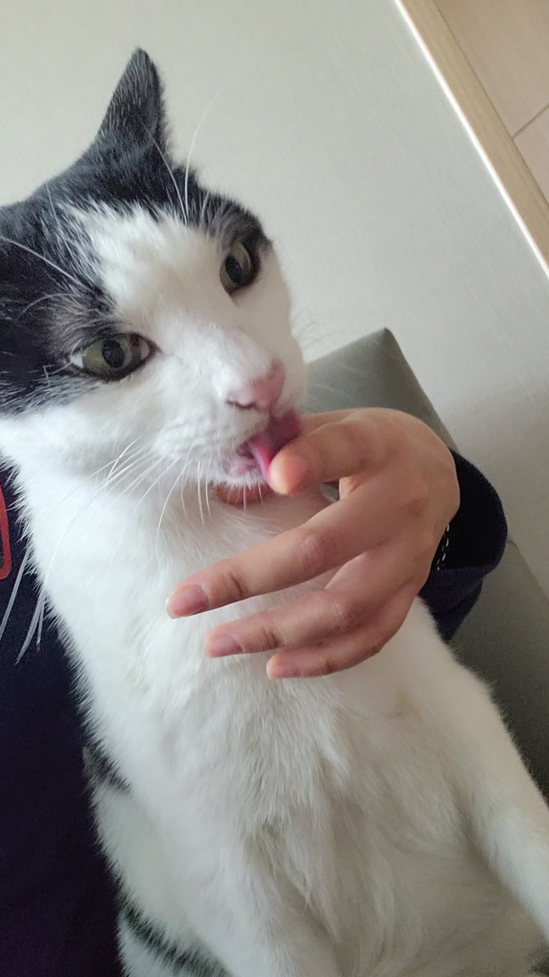 새싹이네집2월이네요:)
