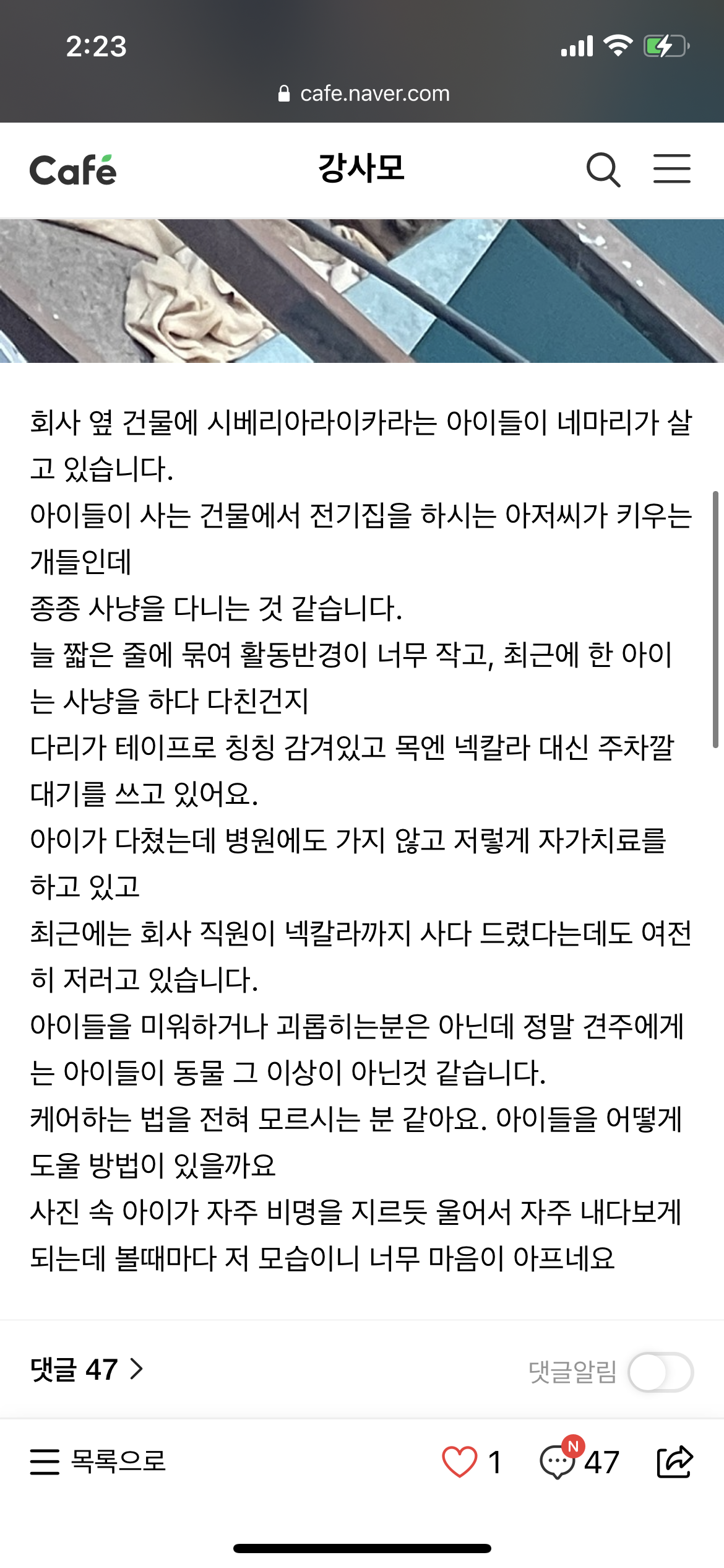 사냥개로 쓰이는 듯한 강아지가 방치되어있는것 같습니다