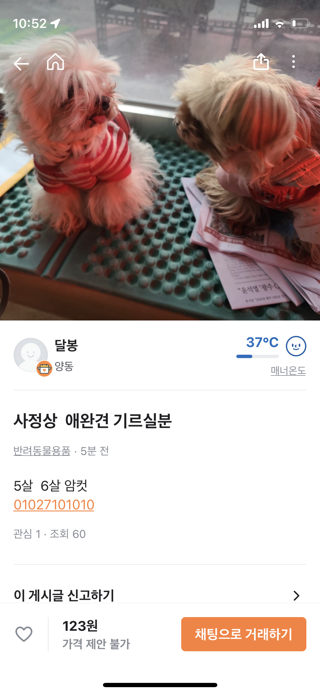 당근마켓 강아지 양도글