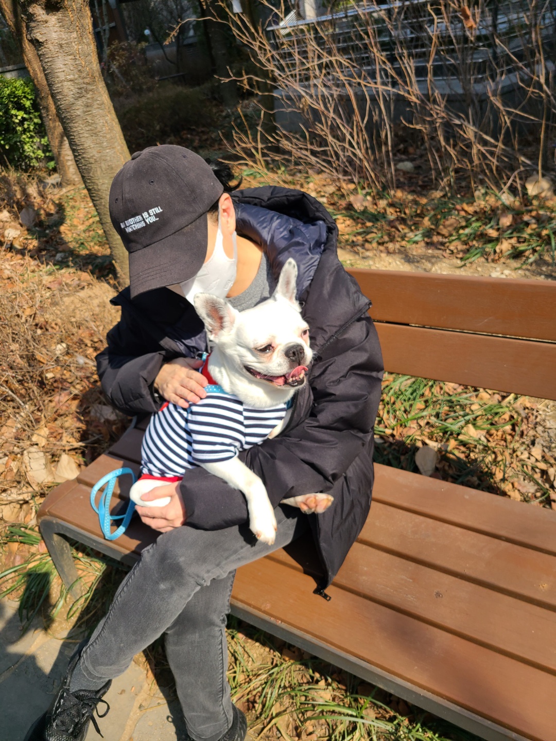 애둥이가 산책에서 걸었어요.
