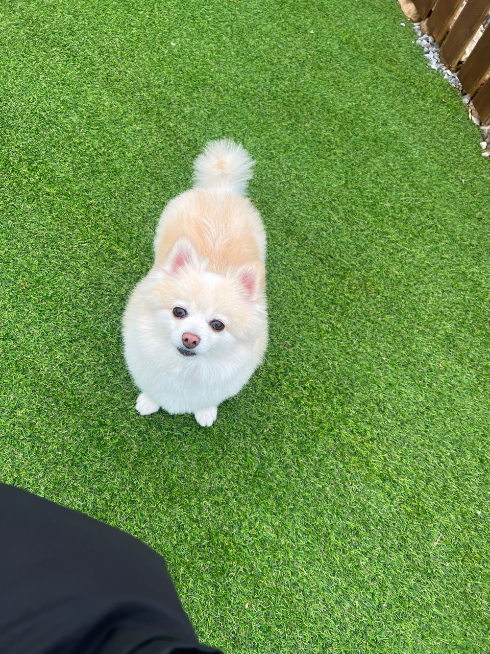 보배(곤지암) 벌써1년이에용