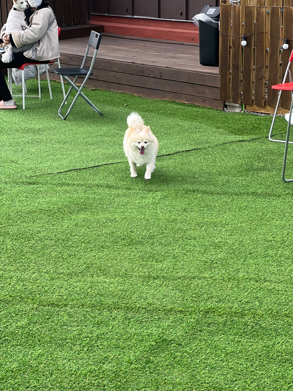 보배(곤지암) 벌써1년이에용