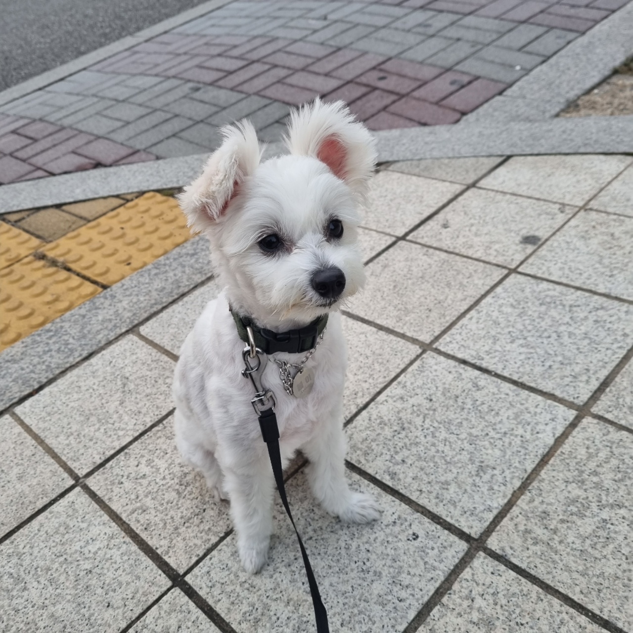 곤지암 그오(봄이) 1년 후기입니다!