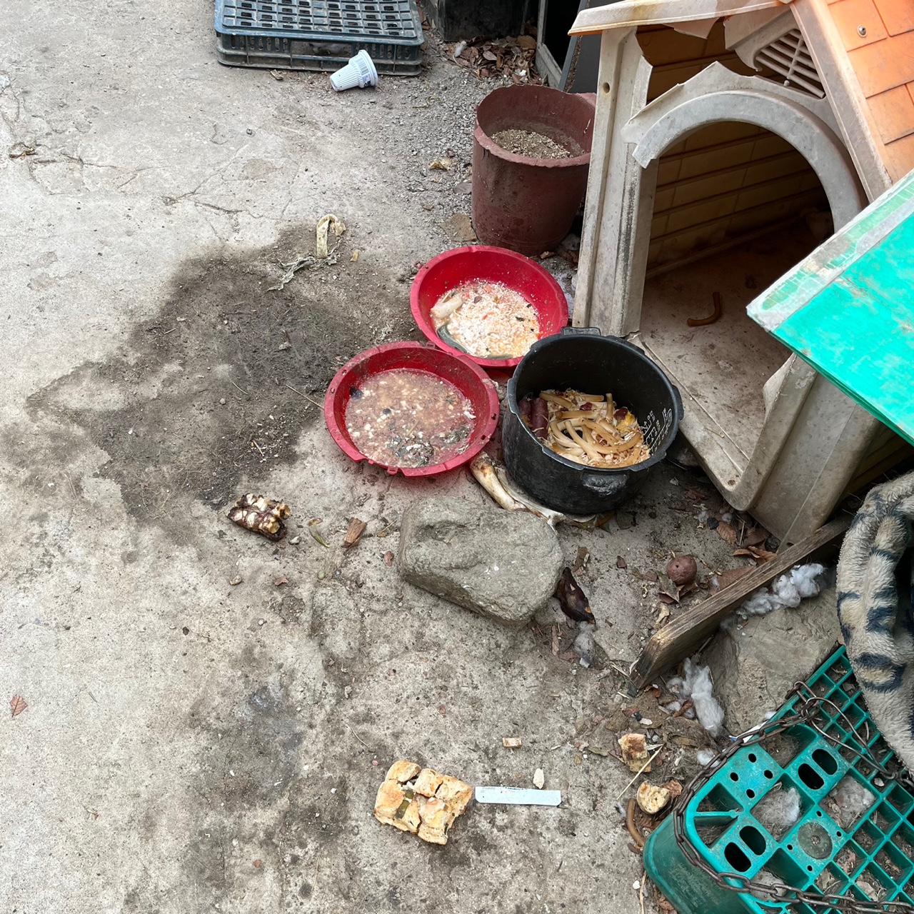 5월 철거예정지역 음식물 쓰레기로 버티는 아이들 제보합니다.