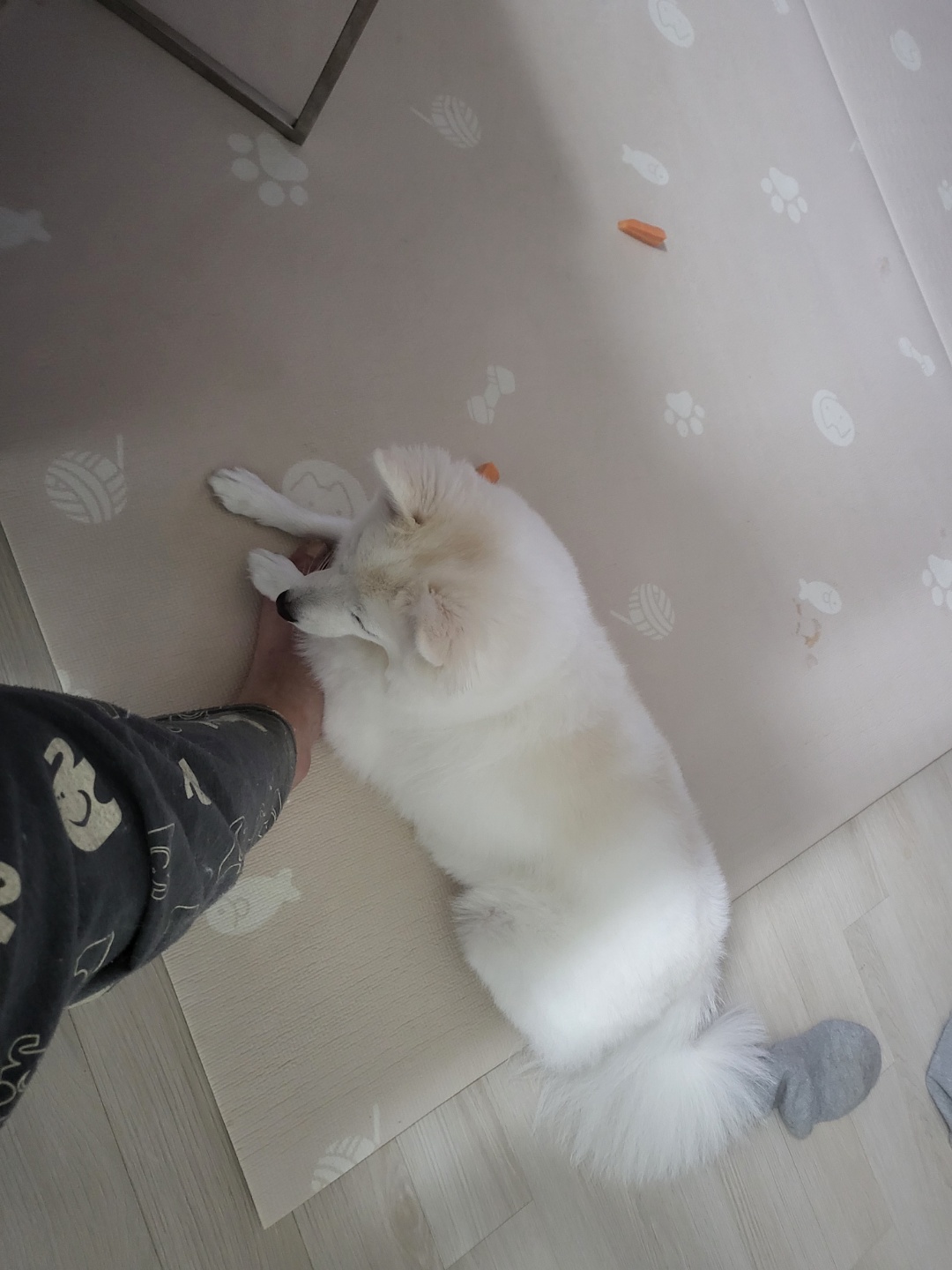 엄마 껌딱지! 휘핑