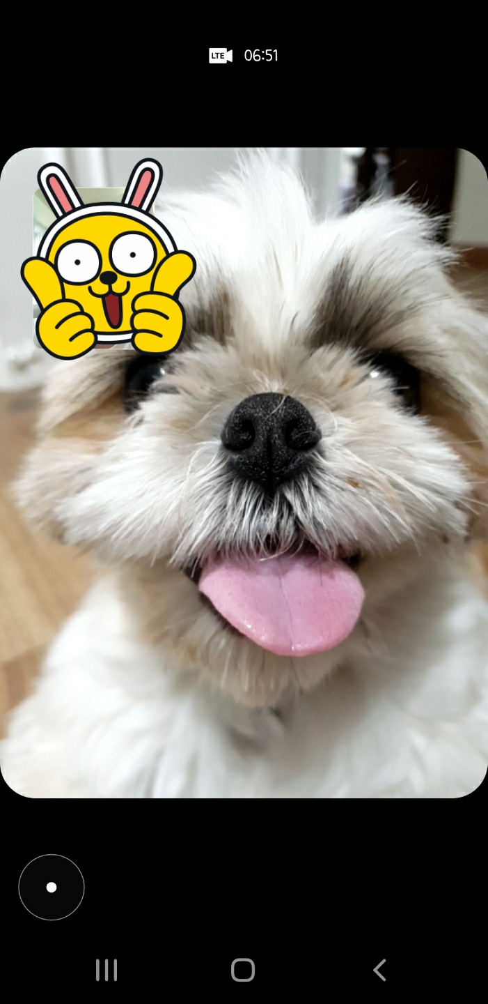 봄이 입양 한 달차 