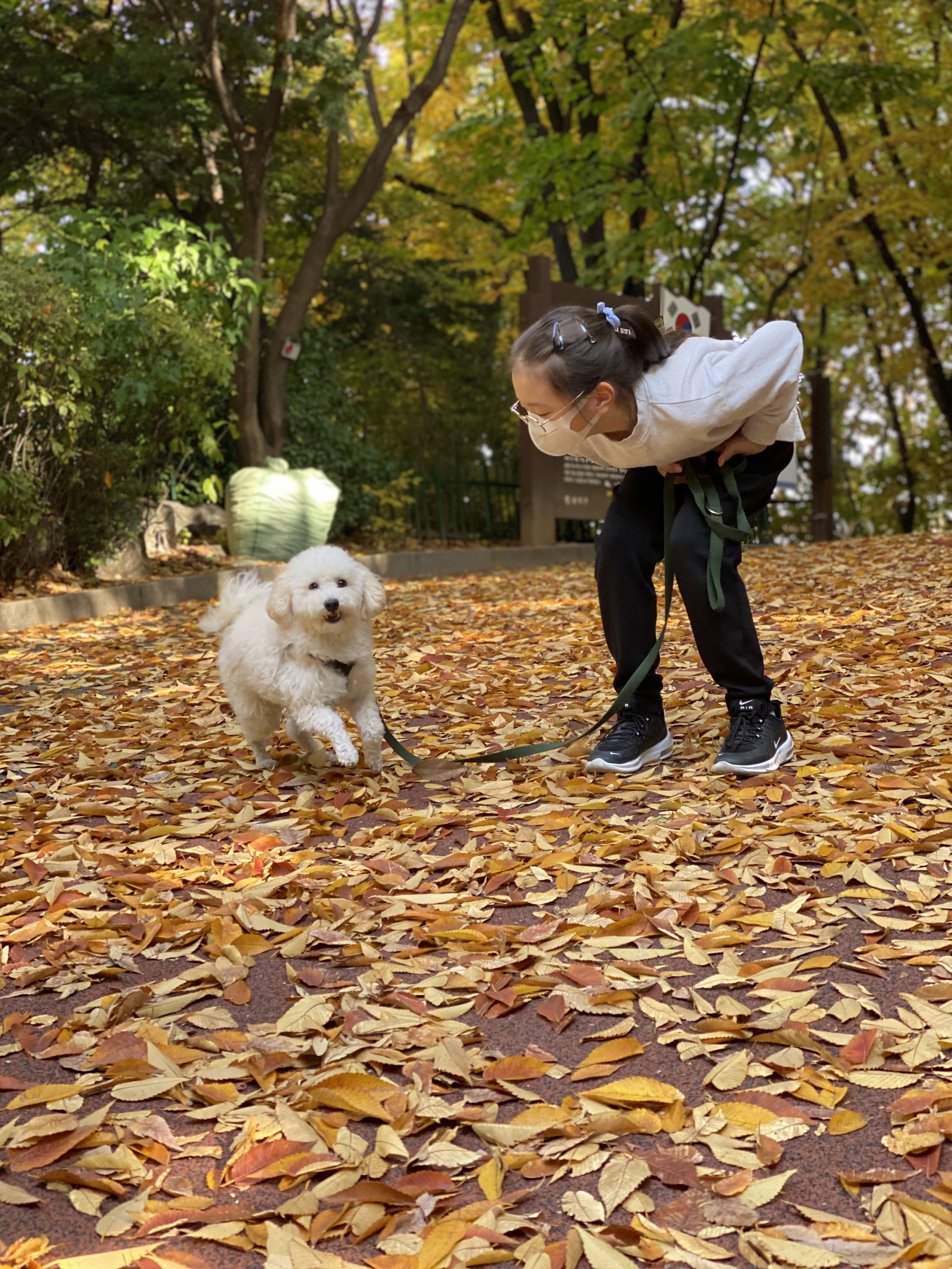 심쿵이와 1년(곤지암 연지 )