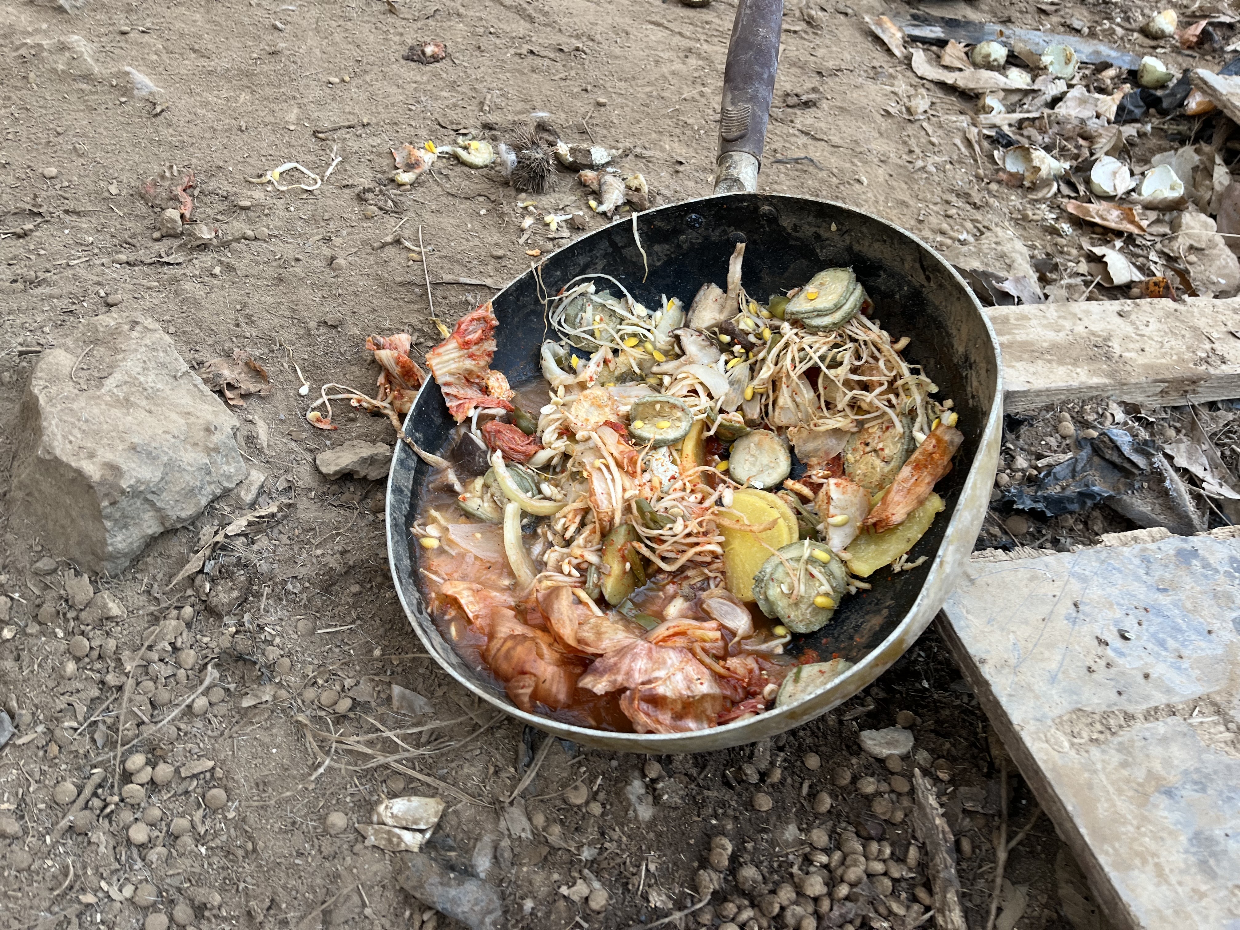 야산 밭지킴이로 1년째 지내고 있는 아이를 구조해주세요 