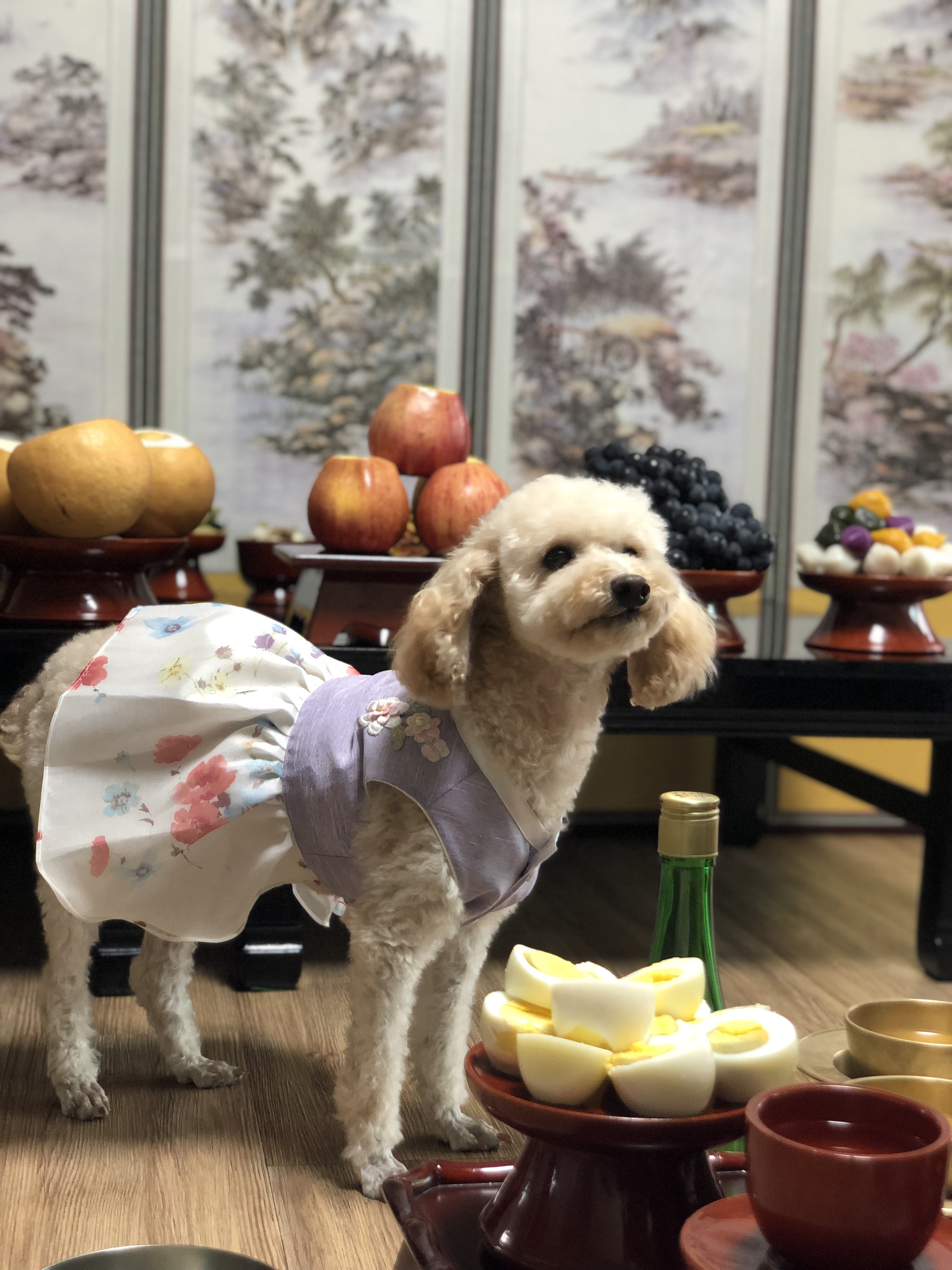 쿠크(곤지암-47) 1년 됐어요~