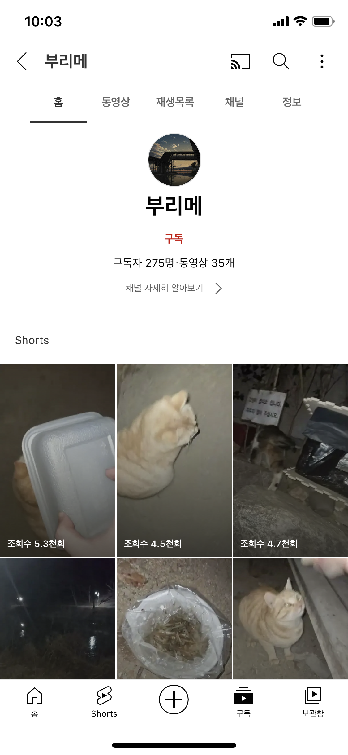 길고양이 학대자 유투버