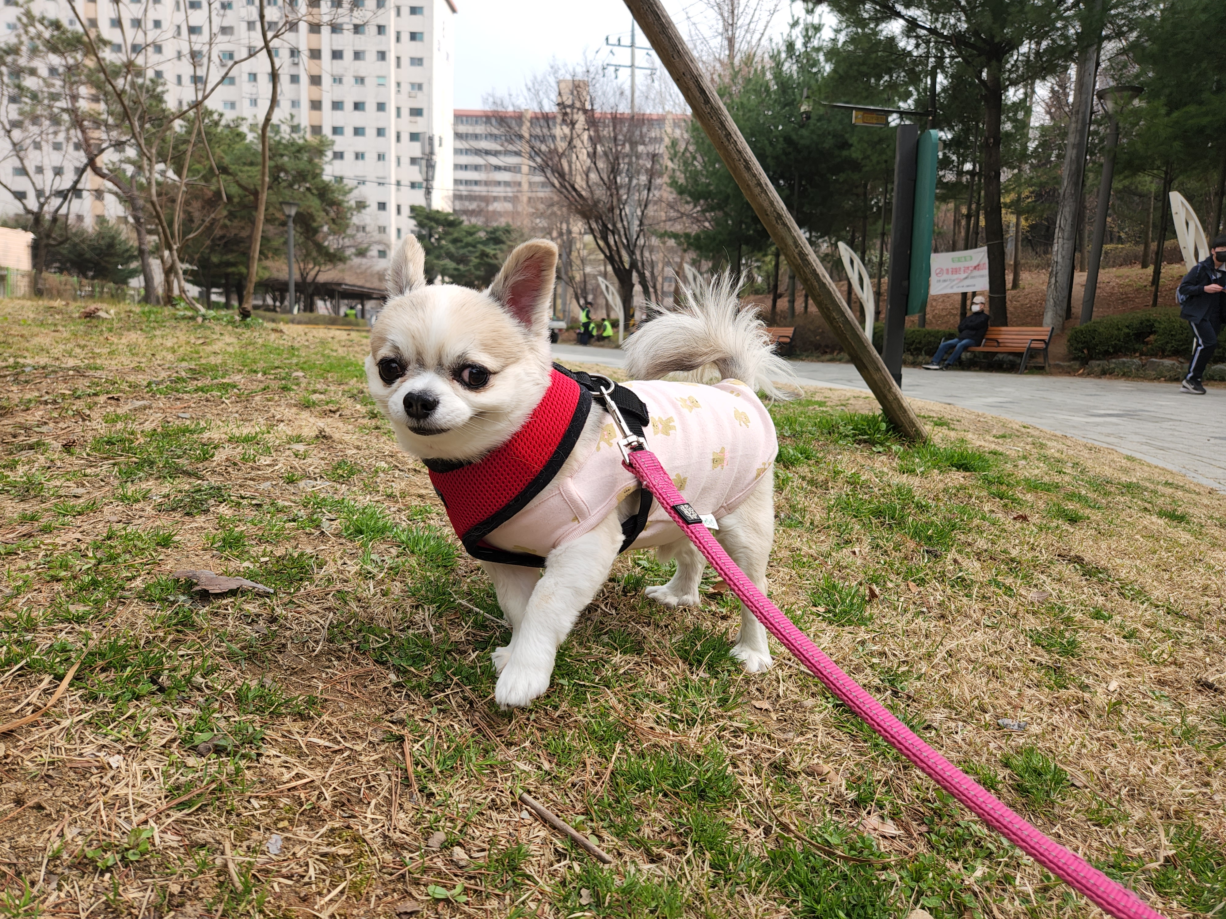 다온이의 유치원일기 (짹짹이)