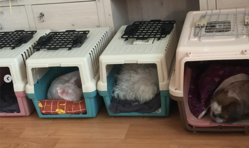바토는 여전히 잘 지내고 있어요 ^^