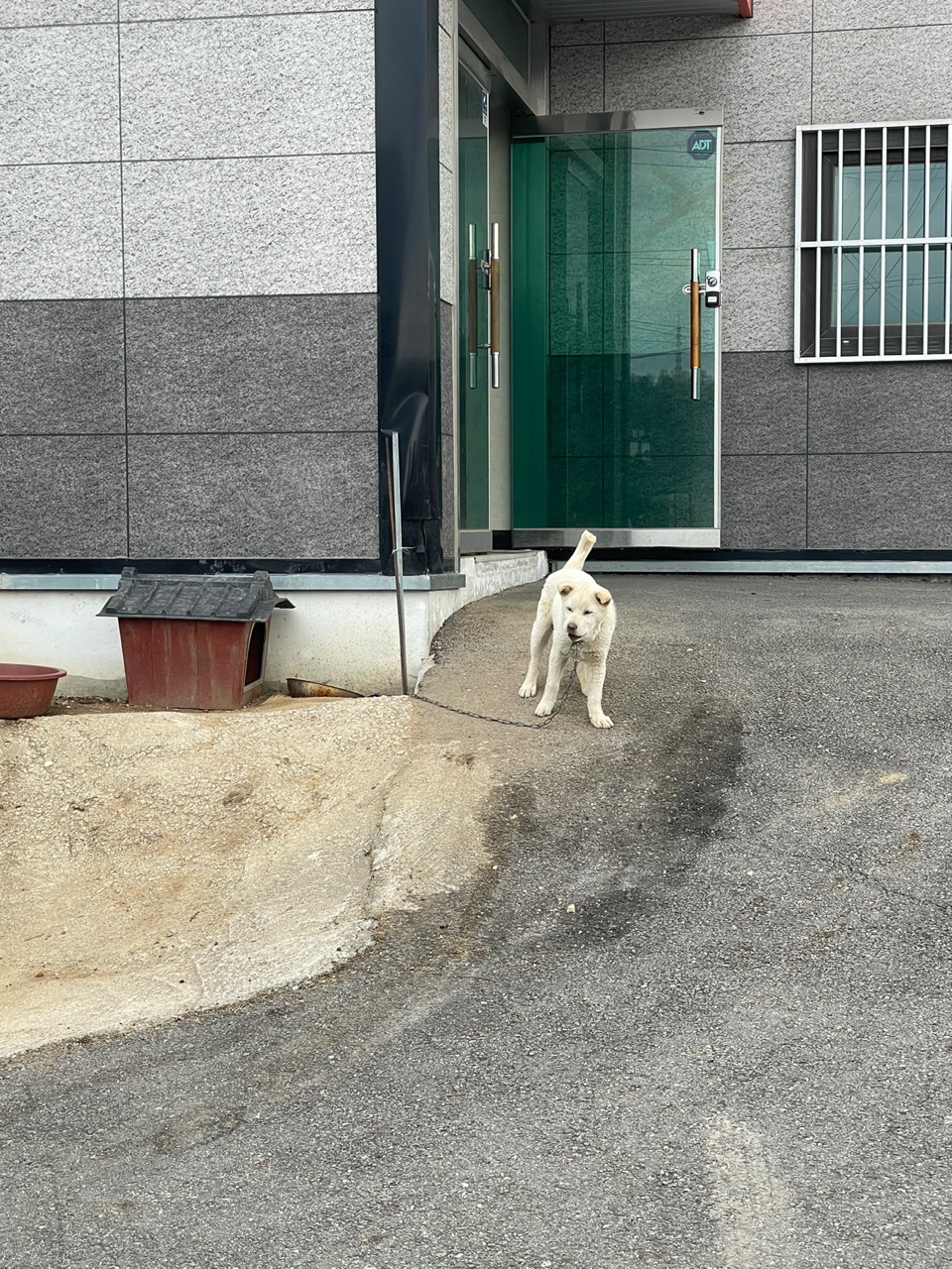 이런 경우 어떻게 해야 하는지 궁금합니다.