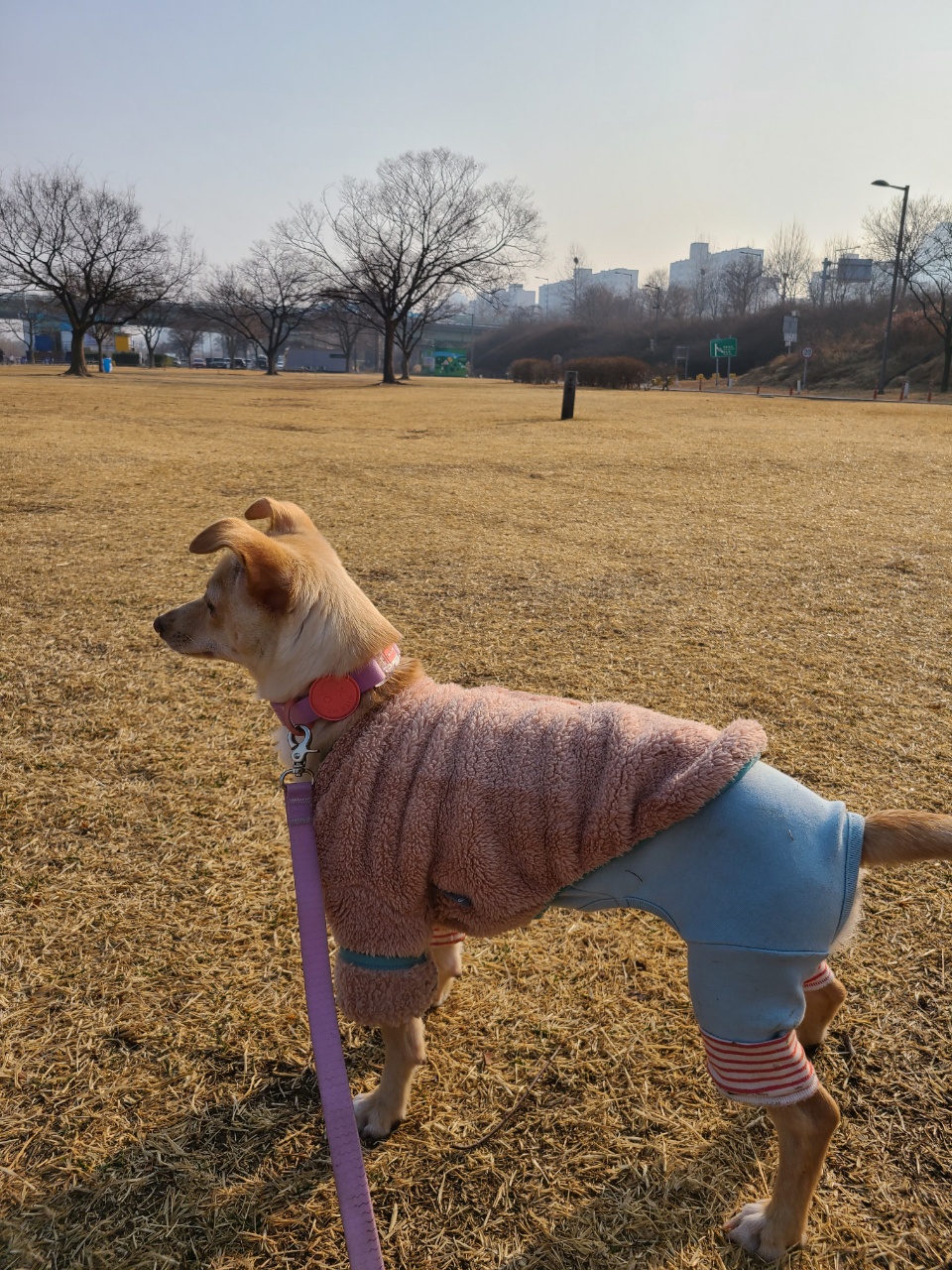 데이와 함께한지 3개월