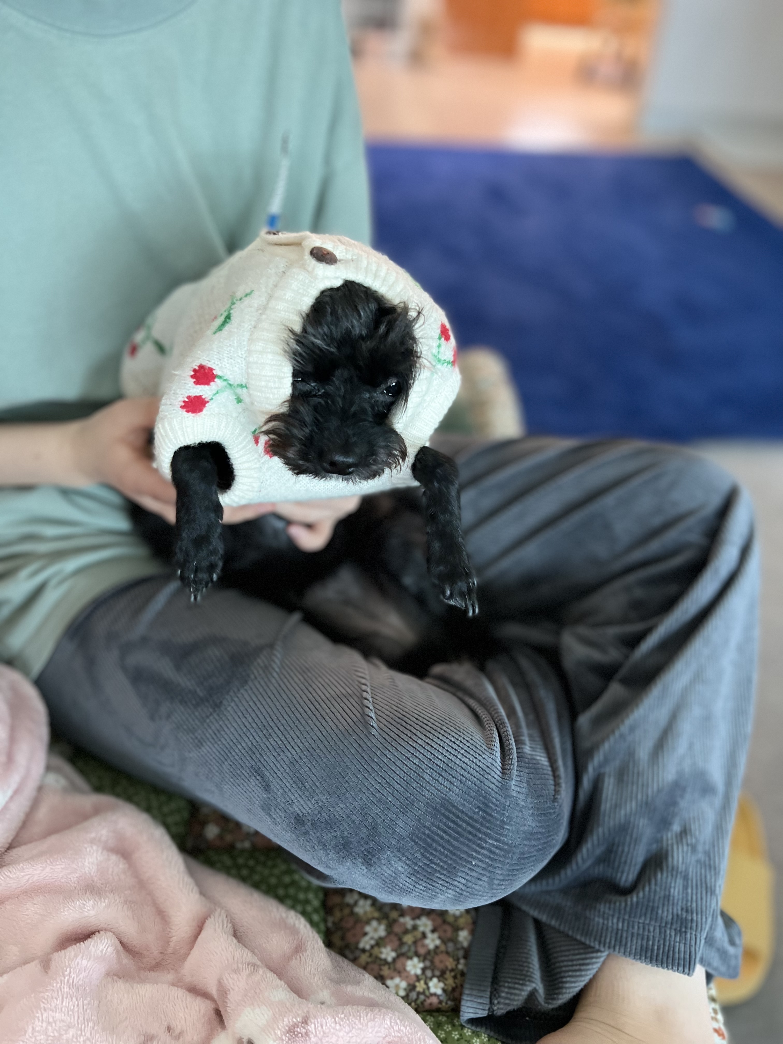 아라가 어느새 3살이네요