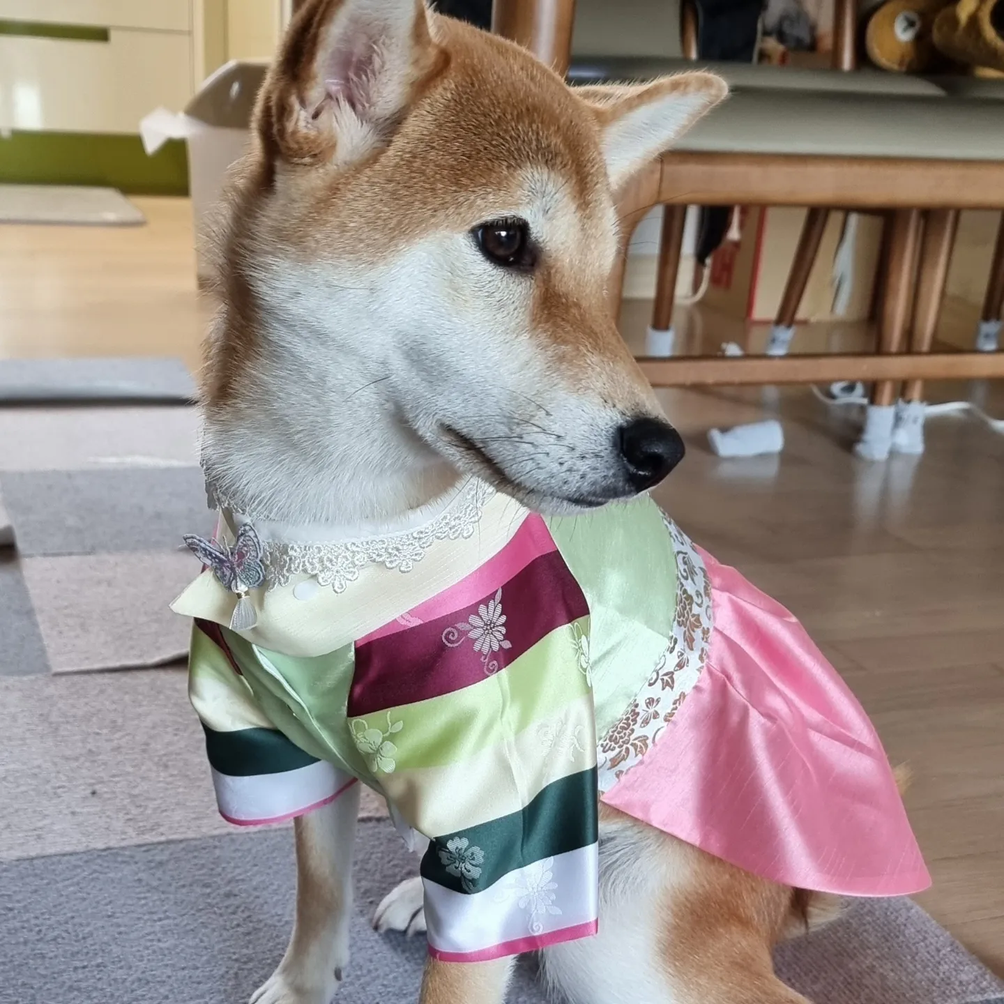 네시였던 별이 입니다