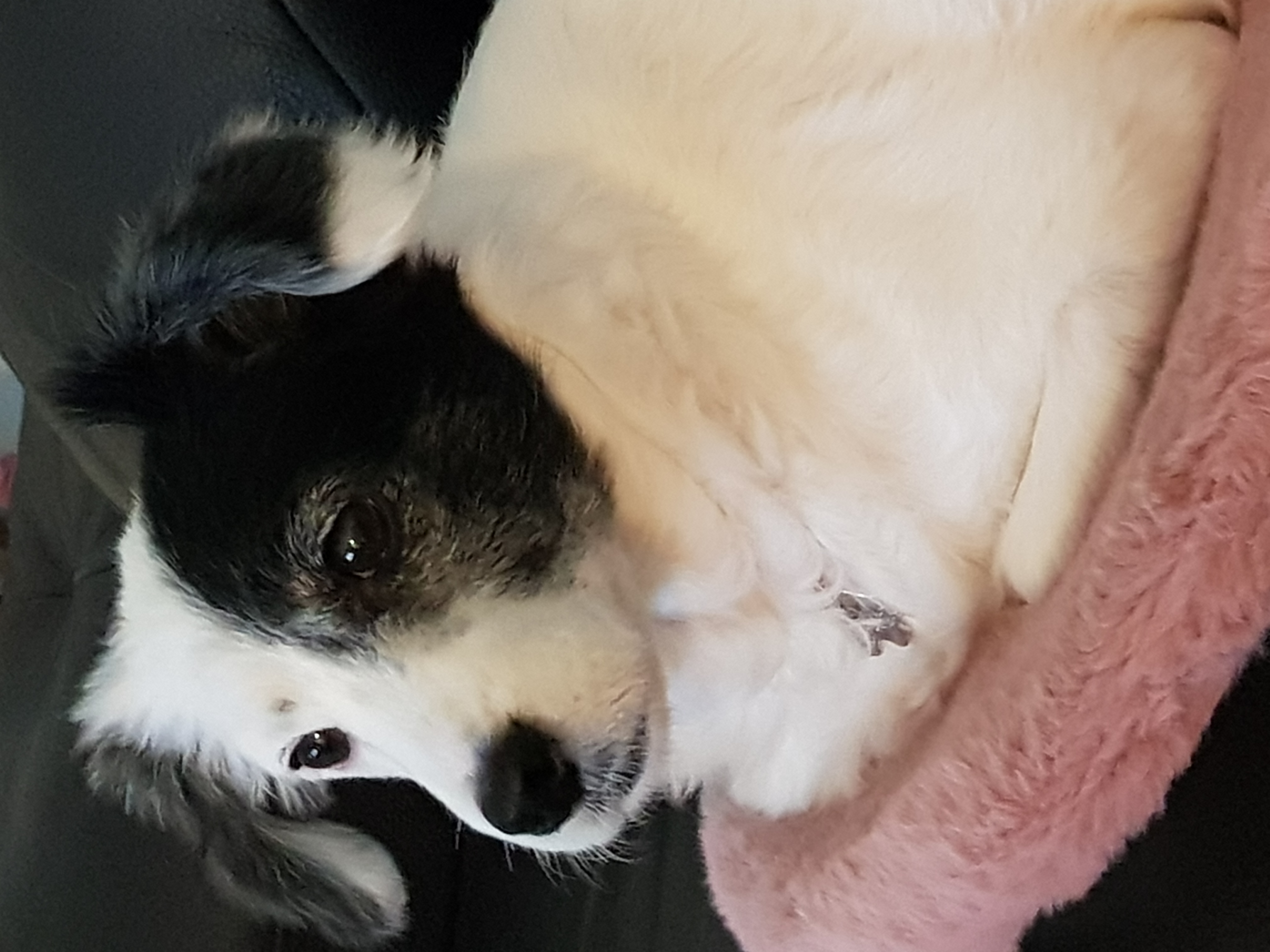 ❤️오랜만에 두렁이 인사드려용❤️