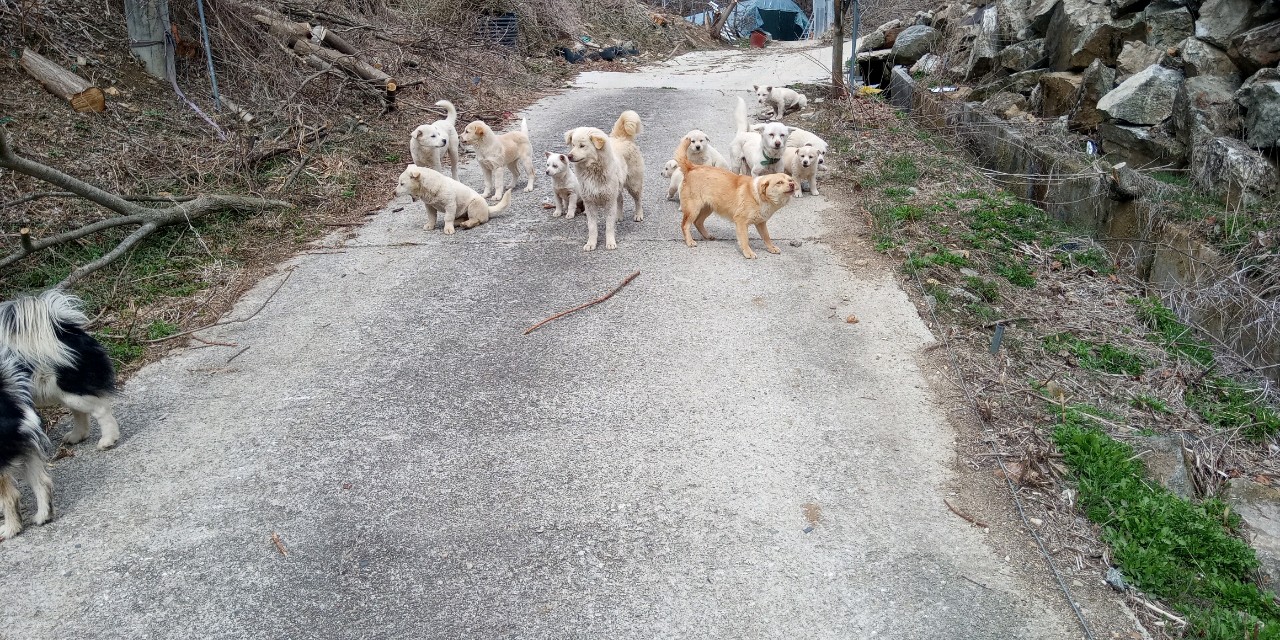 제발 구조해주세요